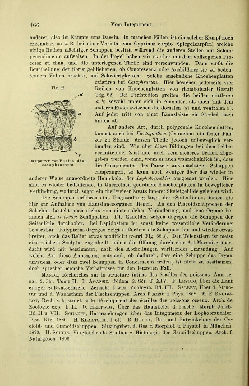 anderer, also im Kampfe ums Dasein. In manchen Fällen ist ein solcher Kampf noch erkennbar, so z. B. hei einer Varietät von Cyprinus carpio (Spiegelkarpfen), welche einige Reihen mächtiger Schuppen besitzt, während die anderen Stellen nur Schup- penrudimente aufweisen. In der Regel haben wir es aber mit dem vollzogenen Pro- cesse zu thun, und die unterlegenen Theile sind verschwunden. Dann stößt die Beurtheilung der übrig gebliebenen, oh Concrescenz oder Ausbildung sie zu bedeu- tendem Volum brachte, auf Schwierigkeiten. Solche ansehnliche Knochenplatten existiren bei Cataphracten. Hier bestehen jederseits vier Reihen von Knochenplatten von rhomboidaler Gestalt Fig. 82). Bei Peristedion greifen die beiden mittleren (a, b) sowohl unter sich in einander, als auch (mit dem anderen Ende) zwischen die dorsalen (d) und ventralen (v). Auf jeder tritt von einer Längsleiste ein Stachel nach hinten ab. Auf andere Art, durch polygonale Knochenplatten, kommt auch bei Pledognathen (Ostracion) ein fester Pan- zer zu Stande, dessen Theile jedoch unbeweglich ver- bunden sind. Wie über diese Bildungen bei dem Fehlen vermittelnder Zustände noch kein sicheres Urtheil abge- geben werden kann, wenn es auch wahrscheinlich ist, dass die Componenten des Panzers aus mächtigen Schuppen entsprangen, so kann noch weniger über das wieder in anderer Weise angeordnete Hautskelet der Lophobranchier ausgesagt werden. Hier sind es wieder bedeutende, in Querreihen geordnete Knochenplatten in beweglicher Verbindung, wodurch sogar ein theilweiser Ersatz innerer Skeletgebilde geleistet wird. Die Schuppen erfahren eine Umgestaltung längs der »Seitenlinie«, indem sie hier zur Aufnahme von Hautsinnesorganen dienen. An den Placoidschüppchen der Selachier besteht noch nichts von einer solchen Veränderung, und jene Organe be- finden sich xivisclien Schüppchen. Die Ganoiden zeigen dagegen die Schuppen der Seitenlinie durchbohrt. Bei Lepidosteus ist sonst keine wesentliche Veränderung bemerkbar. Polypterus dagegen zeigt außerdem die Schuppen hin und wieder etwas breiter, auch das Relief etwas modificirt (vergl. Fig. 66 s). Den Teleostiern ist meist eine reichere Sculptur zugetheilt, indem die Öffnung durch eine Art Marquise über- dacht wird mit bestimmter, nach den Abtheilungen variirender Umrandung. Auf welche Art diese Anpassung entstand, ob dadurch, dass eine Schuppe das Organ umwuchs, oder dass zwei Schuppen in Concrescenz traten, ist nicht zu bestimmen, doch sprechen manche Verhältnisse für den letzteren Fall. Mandl, Recherches sur la structure intime des ecailles des poissons. Ann. sc. nat. 2. Ser. Tome II. L. Agassiz, ibidem. 2. Sdr. T. XIV. F. Leydig, Über die Haut einiger Süßwasserfische. Zeitschr. f. wiss. Zoologie. Bd. III. Salbey, Über d. Struc- tur und d. Wachsthum der Fischschuppen. Arch. f. Anat. u. Phys. 1868. M. E. Baude- lot, Rech. s. la struct. et le development des ecailles des poissons osseux. Arch. de Zoologie exp. T. II. 0. Hertwig, Über das Hautskelet d. Fische. Morph. Jahrb- Bd. II u. VII. Schaeff, Untersuchungen über das Integument der Lophobranchier. Diss. Kiel 1886. H. Klaatsch, 1. cit. B. Hofer, Bau und Entwickelung der Cy- cloid- und Ctenoidscliuppen. Sitzungsber. d. Ges. fi Morphol. u. Physiol. in München. 1890. H. Scupesi, Vergleichende Studien z. Histologie der Ganoidschuppen. Arch. f. Naturgesch. 1896. Fig. 82. '‘V Hautpanzer von Peristedion catapliractum.