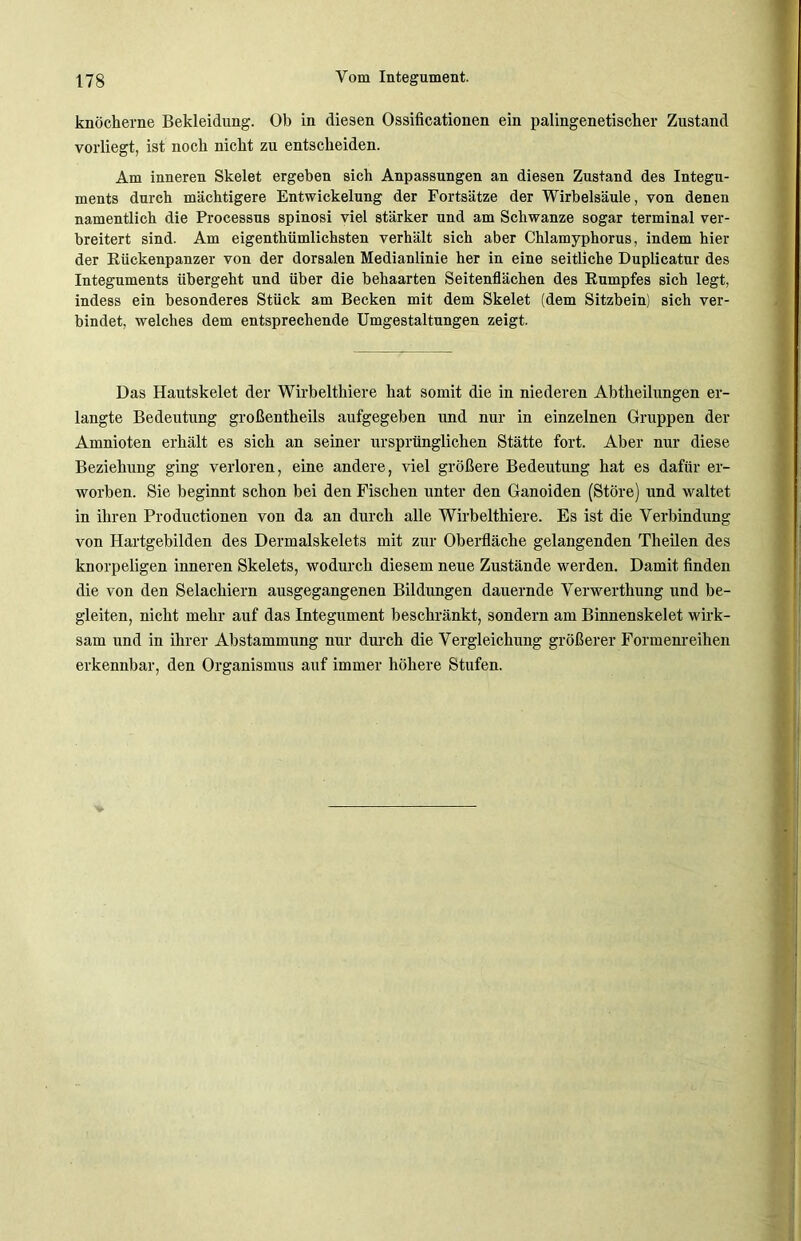 knöcherne Bekleidung. Ob in diesen Ossificationen ein palingenetischer Zustand vorliegt, ist noch nicht zu entscheiden. Am inneren Skelet ergeben sich Anpassungen an diesen Zustand des Integu- ments durch mächtigere Entwickelung der Fortsätze der Wirbelsäule, von denen namentlich die Processus spinosi viel stärker und am Schwänze sogar terminal ver- breitert sind. Am eigenthiimlichsten verhält sich aber Chlamyphorus, indem hier der Rückenpanzer von der dorsalen Medianlinie her in eine seitliche Duplicatur des Integuments übergeht und über die behaarten Seitenflächen des Rumpfes sich legt, indess ein besonderes Stück am Becken mit dem Skelet (dem Sitzbein) sich ver- bindet, welches dem entsprechende Umgestaltungen zeigt. Das Hautskelet der Wirbelthiere hat somit die in niederen Abtheilungen er- langte Bedeutung großentheils aufgegeben und nur in einzelnen Gruppen der Amnioten erhält es sich an seiner ursprünglichen Stätte fort. Aber nur diese Beziehung ging verloren, eine andere, viel größere Bedeutung hat es dafür er- worben. Sie beginnt schon bei den Fischen unter den Ganoiden (Störe) und waltet in ihren Productionen von da an durch alle Wirbelthiere. Es ist die Verbindung von Hartgebilden des Dermalskelets mit zur Oberfläche gelangenden Theilen des knorpeligen inneren Skelets, wodurch diesem neue Zustände werden. Damit finden die von den Selachiern ausgegangenen Bildungen dauernde Verwerthung und be- gleiten, nicht mehr auf das Integument beschränkt, sondern am Binnenskelet wirk- sam und in ihrer Abstammung nur durch die Vergleichung größerer Formenreihen erkennbar, den Organismus auf immer höhere Stufen.