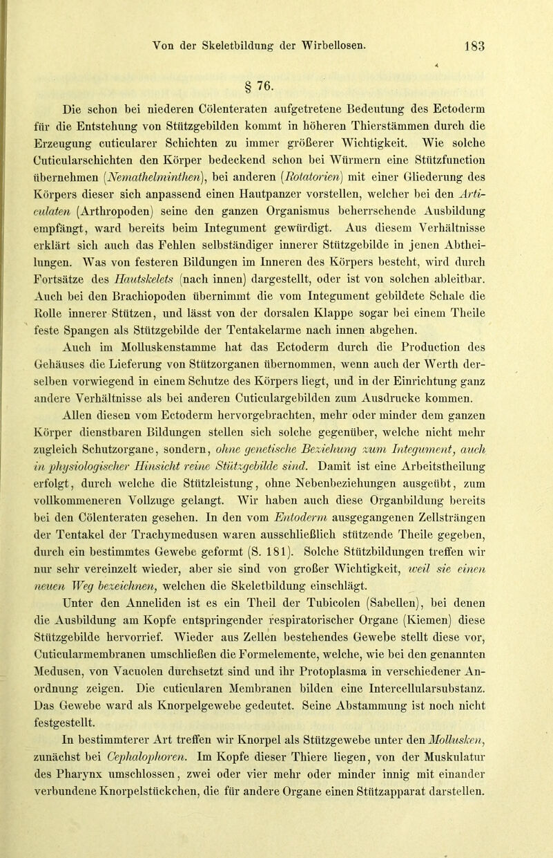 § 76. Die schon bei niederen Cölenteraten aufgetretene Bedeutung des Ectoderm für die Entstehung von Stützgebilden kommt in höheren Thierstämmen durch die Erzeugung cuticularer Schichten zu immer größerer Wichtigkeit. Wie solche Cuticularschichten den Körper bedeckend schon bei Würmern eine Stützfunction übernehmen (Nemathelminthen), bei anderen [Rotatorieri] mit einer Gliederung des Körpers dieser sich anpassend einen Hautpanzer vorstellen, welcher bei den Arti- culaten (Arthropoden) seine den ganzen Organismus beherrschende Ausbildung empfängt, ward bereits beim Integument gewürdigt. Aus diesem Verhältnisse erklärt sich auch das Fehlen selbständiger innerer Stützgebilde in jenen Abthei- lungen. Was von festeren Bildungen im Inneren des Körpers besteht, wird durch Fortsätze des Hautskelets (nach innen) dargestellt, oder ist von solchen ableitbar. Auch bei den Brachiopoden übernimmt die vom Integument gebildete Schale die Rolle innerer Stützen, und lässt von der dorsalen Klappe sogar bei einem Theile feste Spangen als Stützgebilde der Tentakelarme nach innen abgehen. Auch im Molluskenstamme hat das Ectoderm durch die Production des Gehäuses die Lieferung von Stützorganen übernommen, wenn auch der Werth der- selben vorwiegend in einem Schutze des Körpers liegt, und in der Einrichtung ganz andere Verhältnisse als bei anderen Cuticulargebilden zum Ausdrucke kommen. Allen diesen vom Ectoderm hervorgebrachten, mehr oder minder dem ganzen Körper dienstbaren Bildungen stellen sich solche gegenüber, welche nicht mehr zugleich Schutzorgane, sondern, ohne genetische Beziehung zum Integument, auch in physiologischer Hinsicht reine Stützgebilde sind. Damit ist eine Arbeitsteilung erfolgt, durch welche die Stützleistung, ohne Nebenbeziehungen ausgeübt, zum vollkommeneren Vollzüge gelangt. Wir haben auch diese Organbildung bereits bei den Cölenteraten gesehen. In den vom Entoderm ausgegangenen Zellsträngen der Tentakel der Trachymedusen waren ausschließlich stützende Theile gegeben, durch ein bestimmtes Gewebe geformt (S. 181). Solche Stützbildungen treffen wir nur sehr vereinzelt wieder, aber sie sind von großer Wichtigkeit, weil sie einen neuen Weg bezeichnen, welchen die Skeletbildung einschlägt. Unter den Anneliden ist es ein Theil der Tubicolen (Sabellen), bei denen die Ausbildung am Kopfe entspringender respiratorischer Organe (Kiemen) diese Stützgebilde hervorrief. Wieder aus Zellen bestehendes Gewebe stellt diese vor, Cuticularmembranen umschließen die Formelemente, welche, wie bei den genannten Medusen, von Vacuolen durchsetzt sind und ihr Protoplasma in verschiedener An- ordnung zeigen. Die cuticularen Membranen bilden eine Intercellularsubstanz. Das Gewebe ward als Knorpelgewebe gedeutet. Seine Abstammung ist noch nicht festgestellt. In bestimmterer Art treffen wir Knorpel als Stützgewebe unter den Mollusken, zunächst bei Ceplialophoren. Im Kopfe dieser Thiere liegen, von der Muskulatur des Pharynx umschlossen, zwei oder vier mehr oder minder innig mit einander verbundene Knorpelstückchen, die für andere Organe einen Stützapparat darstellen.