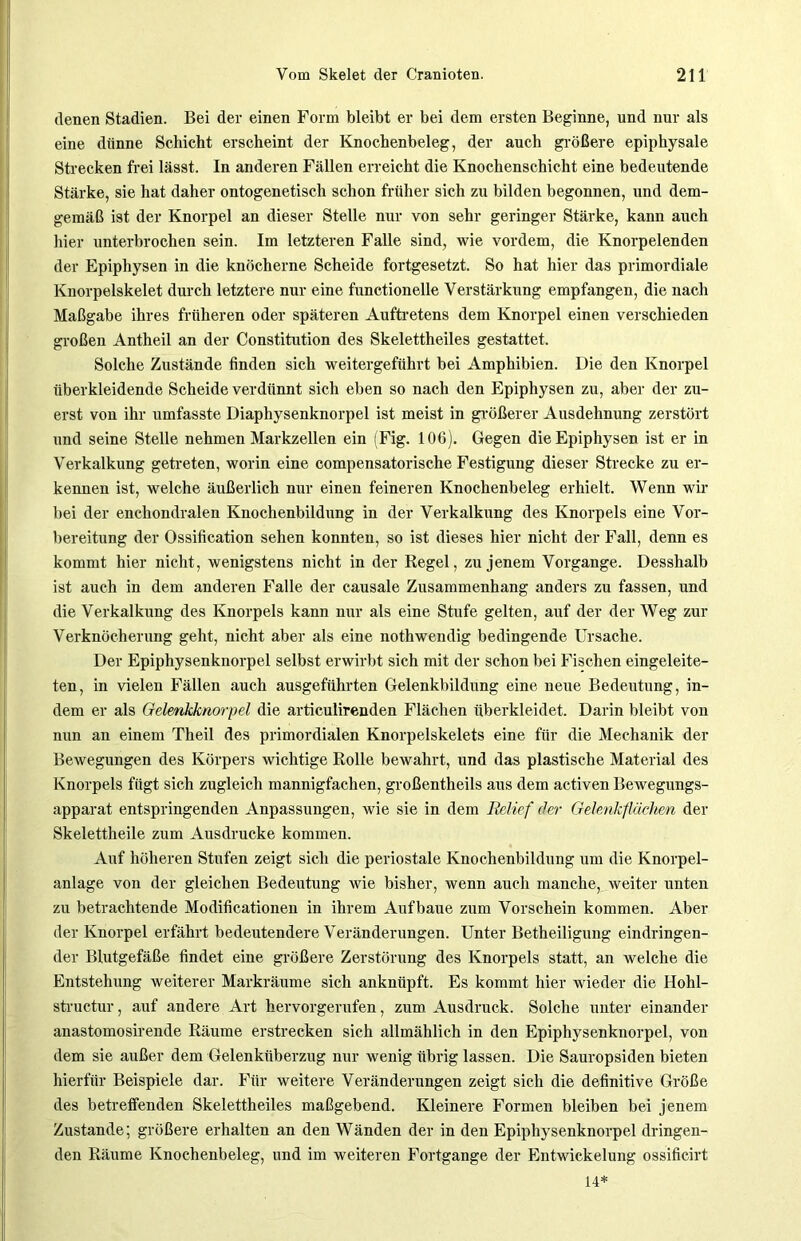 denen Stadien. Bei der einen Form bleibt er bei dem ersten Beginne, und nur als eine dünne Schicht erscheint der Knochenbeleg, der auch größere epiphysale Strecken frei lässt. In anderen Fällen erreicht die Knochenschicht eine bedeutende Stärke, sie hat daher ontogenetisch schon früher sich zu bilden begonnen, und dem- gemäß ist der Knorpel an dieser Stelle nur von sehr geringer Stärke, kann auch hier unterbrochen sein. Im letzteren Falle sind, wie vordem, die Knorpelenden der Epiphysen in die knöcherne Scheide fortgesetzt. So hat hier das primordiale Knorpelskelet durch letztere nur eine functioneile Verstärkung empfangen, die nach Maßgabe ihres früheren oder späteren Auftretens dem Knorpel einen verschieden großen Antheil an der Constitution des Skelettheiles gestattet. Solche Zustände finden sich weitergeführt bei Amphibien. Die den Knorpel überkleidende Scheide verdünnt sich eben so nach den Epiphysen zu, aber der zu- erst von ihr umfasste Diaphysenknorpel ist meist in größerer Ausdehnung zerstört und seine Stelle nehmen Markzellen ein (Fig. 106). Gegen die Epiphysen ist er in Verkalkung getreten, worin eine compensatorische Festigung dieser Strecke zu er- kennen ist, welche äußerlich nur einen feineren Knochenbeleg erhielt. Wenn wir bei der enchondralen Knochenbildung in der Verkalkung des Knorpels eine Vor- bereitung der Ossification sehen konnten, so ist dieses hier nicht der Fall, denn es kommt hier nicht, wenigstens nicht in der Regel, zu jenem Vorgänge. Desshalb ist auch in dem anderen Falle der causale Zusammenhang anders zu fassen, und die Verkalkung des Knorpels kann nur als eine Stufe gelten, auf der der Weg zur Verknöcherung geht, nicht aber als eine nothwendig bedingende Ursache. Der Epiphysenknorpel selbst erwirbt sich mit der schon bei Fischen eingeleite- ten, in vielen Fällen auch ausgeführten Gelenkbildung eine neue Bedeutung, in- dem er als Gelmkknorpel die articulirenden Flächen überkleidet. Darin bleibt von nun an einem Theil des primordialen Knorpelskelets eine für die Mechanik der Bewegungen des Körpers wichtige Rolle bewahrt, und das plastische Material des Knorpels fügt sich zugleich mannigfachen, großentheils aus dem activen Bewegungs- apparat entspringenden Anpassungen, wie sie in dem Relief der Gelenkflächen der Skelettheile zum Ausdrucke kommen. Auf höheren Stufen zeigt sich die periostale Knochenbildung um die Knorpel- anlage von der gleichen Bedeutung wie bisher, wenn auch manche, weiter unten zu betrachtende Modificationen in ihrem Aufbaue zum Vorschein kommen. Aber der Knorpel erfährt bedeutendere Veränderungen. Unter Betheiligung eindringen- der Blutgefäße findet eine größere Zerstörung des Knorpels statt, an welche die Entstehung weiterer Markräume sich anknüpft. Es kommt hier wieder die Hohl- structur, auf andere Art hervorgerufen, zum Ausdruck. Solche unter einander anastomosirende Räume erstrecken sich allmählich in den Epiphysenknorpel, von dem sie außer dem Gelenküberzug nur wenig übrig lassen. Die Sauropsiden bieten hierfür Beispiele dar. Für weitere Veränderungen zeigt sich die definitive Größe des betreffenden Skelettheiles maßgebend. Kleinere Formen bleiben bei jenem Zustande; größere erhalten an den Wänden der in den Epiphysenknorpel dringen- den Räume Knochenbeleg, und im weiteren Fortgänge der Entwickelung ossificirt 14*