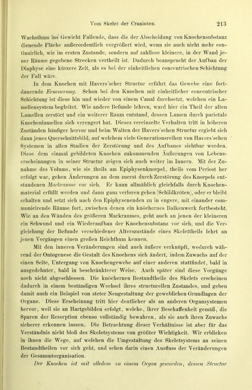 Wachsthuin ins Gewicht Fallende, dass die der Abscheidung von Knochensnbstanz dienende Fläche außerordentlich vergrößert wird, wenn sie auch nicht mehr con- tinuirlich, wie iin ersten Zustande, sondern auf zahllose kleinere, in der Wand je- ner Räume gegebene Strecken vertheilt ist. Dadurch beansprucht der Aufbau der Diaphyse eine kürzere Zeit, als es bei der einheitlichen concentrischen Schichtung der Fall wäre. In dem Knochen mit Havers’scher Structur erfährt das Gewebe eine fort- dauernde Erneuerung. Schon bei den Knochen mit einheitlicher eoncentrischer Schichtung ist diese hin und wieder von einem Canal durchsetzt, welchen ein La- mellensystem begleitet. Wie andere Befunde lehren, ward hier ein Theil der alten Lamellen zerstört und ein weiterer Raum entstand, dessen Lumen durch parietale Knochenlamellen sich verengert hat. Dieses vereinzelte Verhalten tritt in höheren Zuständen häufiger hervor und beim Walten der Havers’schen Structur ergiebt sich dann jenes Querschnittsbild, auf welchem viele Generationsreiher von Havers’schen Systemen in allen Stadien der Zerstörung und des Aufbaues sichtbar werden. Diese dem einmal gebildeten Knochen zukommenden Äußerungen von Lebens- erscheinungen in seiner Structur zeigen sich auch weiter im Innern. Mit der Zu- nahme des Volums, wie sie theils am Epiphysenkuorpel, theils vom Periost her erfolgt war, gehen Änderungen an dem zuerst durch Zerstörung des Knorpels ent- standenen Marlcraume vor sich. Er kann allmählich gleichfalls durch Knochen- material erfüllt werden und dann ganz verloren gehen (Schildkröten), oder er bleibt erhalten und setzt sich nach den Epiphysenenden zu in engere, mit einander com- mnnicirende Räume fort, zwischen denen ein knöchernes Balkenwerk fortbesteht. Wie an den Wänden des größeren Markraumes, geht auch an jenen der kleineren ein Schwund und ein Wiederaufbau der Knochensubstanz vor sich, und die Ver- gleichung der Befunde verschiedener Alterszustände eines Skelettheils lehrt an jenen Vorgängen einen großen Reichthum kennen. Mit den inneren Veränderungen sind auch äußere verknüpft, wodurch wäh- rend der Ontogenese die Gestalt des Knochens sich ändert, indem Zuwachs auf der einen Seite, Untergang von Knochengewebe auf einer anderen stattfindet, bald in ausgedehnter, bald in beschränkterer Weise. Auch später sind diese Vorgänge noch nicht abgeschlossen. Die knöchernen Bestandtheile des Skelets erscheinen dadurch in einem beständigen Wechsel ihres structurellen Zustandes, und geben damit auch ein Beispiel von steter Neugestaltung der geweblichen Grundlagen der Organe. Diese Erscheinung tritt hier deutlicher als an anderen Organsystemen hervor, weil sie an Hartgebilden erfolgt, welche, ihrer Beschaffenheit gemäß, die Spuren der Resorption ebenso vollständig bewahren, als sie auch ihren Zuwachs sicherer erkennen lassen. Die Betrachtung dieser Verhältnisse ist aber für das Verständnis nicht bloß des Skeletsystems von größter Wichtigkeit. Wir erblicken in ihnen die Wege, auf welchen die Umgestaltung des Skeletsystems an seinen Bestandtheilen vor sich geht, und sehen darin einen Ausfluss der Veränderungen der Gesammtorganisation. Der Knochen ist mit alledem zu einem Organ geworden, dessen Structur