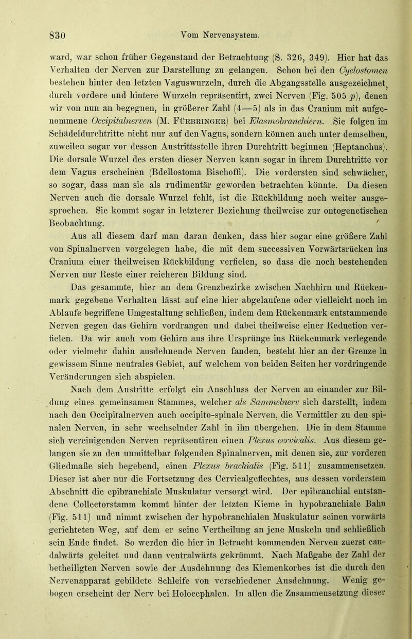 ward, war schon früher Gegenstand der Betrachtung (S. 326, 349). Hier hat das Verhalten der Nerven zur Darstellung zu gelangen. Schon bei den Cyclostomen bestehen hinter den letzten Vaguswurzeln, durch die Abgangsstelle ausgezeichnet> durch vordere und hintere Wurzeln repräsentirt, zwei Nerven (Fig. 505 p), denen wir von nun an begegnen, in größerer Zahl (4—5) als in das Cranium mit aufge- nommene Occipitalnerven (M. Fürbringer) bei Elasmobranchiern. Sie folgen im Schädeldurchtritte nicht nur auf den Vagus, sondern können auch unter demselben, zuweilen sogar vor dessen Austrittsstelle ihren Durchtritt beginnen (Heptanchus). Die dorsale Wurzel des ersten dieser Nerven kann sogar in ihrem Durchtritte vor dem Vagus erscheinen (Bdellostoma Bischoffi). Die vordersten sind schwächer, so sogar, dass man sie als rudimentär geworden betrachten könnte. Da diesen Nerven auch die dorsale Wurzel fehlt, ist die Rückbildung noch weiter ausge- sprochen. Sie kommt sogar in letzterer Beziehung theilweise zur ontogenetischen Beobachtung. Aus all diesem darf man daran denken, dass hier sogar eine größere Zahl von Spinalnerven Vorgelegen habe, die mit dem successiven Vorwärtsrücken ins Cranium einer theilweisen Rückbildung verfielen, so dass die noch bestehenden Nerven nur Reste einer reicheren Bildung sind. Das gesammte, hier an dem Grenzbezirke zwischen Nachhirn und Rücken- mark gegebene Verhalten lässt auf eine hier abgelaufene oder vielleicht noch im Ablaufe begriffene Umgestaltung schließen, indem dem Rückenmark entstammende Nerven gegen das Gehirn vordrangen und dabei theilweise einer Reduction ver- fielen. Da wir auch vom Gehirn aus ihre Ursprünge ins Rückenmark verlegende oder vielmehr dahin ausdehnende Nerven fanden, besteht hier an der Grenze in gewissem Sinne neutrales Gebiet, auf welchem von beiden Seiten her vordringende Veränderungen sich abspielen. Nach dem Austritte erfolgt ein Anschluss der Nerven an einander zur Bil- dung eines gemeinsamen Stammes, welcher als Sammelnerv sich darstellt, indem nach den Occipitalnerven auch occipito-spinale Nerven, die Vermittler zu den spi- nalen Nerven, in sehr wechselnder Zahl in ihn übergehen. Die in dem Stamme sich vereinigenden Nerven repräsentiren einen Plexus cervicalis. Aus diesem ge- langen sie zu den unmittelbar folgenden Spinalnerven, mit denen sie, zur vorderen Gliedmaße sich begebend, einen Plexus brachialis (Fig. 511) zusammensetzen. Dieser ist aber nur die Fortsetzung des Cervicalgeflechtes, aus dessen vorderstem Abschnitt die epibranchiale Muskulatur versorgt wird. Der epibranckial entstan- dene Collectorstamm kommt hinter der letzten Kieme in hypobranchiale Bahn (Fig. 511) und nimmt zwischen der hypobranchialen Muskulatur seinen vorwärts gerichteten Weg, auf dem er seine Vertheilung an jene Muskeln und schließlich sein Ende findet. So werden die hier in Betracht kommenden Nerven zuerst cau- dalwärts geleitet und dann ventralwärts gekrümmt. Nach Maßgabe der Zahl der betheiligten Nerven sowie der Ausdehnung des Kiemenkorbes ist die durch den Nervenapparat gebildete Schleife von verschiedener Ausdehnung. Wenig ge- bogen erscheint der Nerv bei Holocephalen. In allen die Zusammensetzung dieser