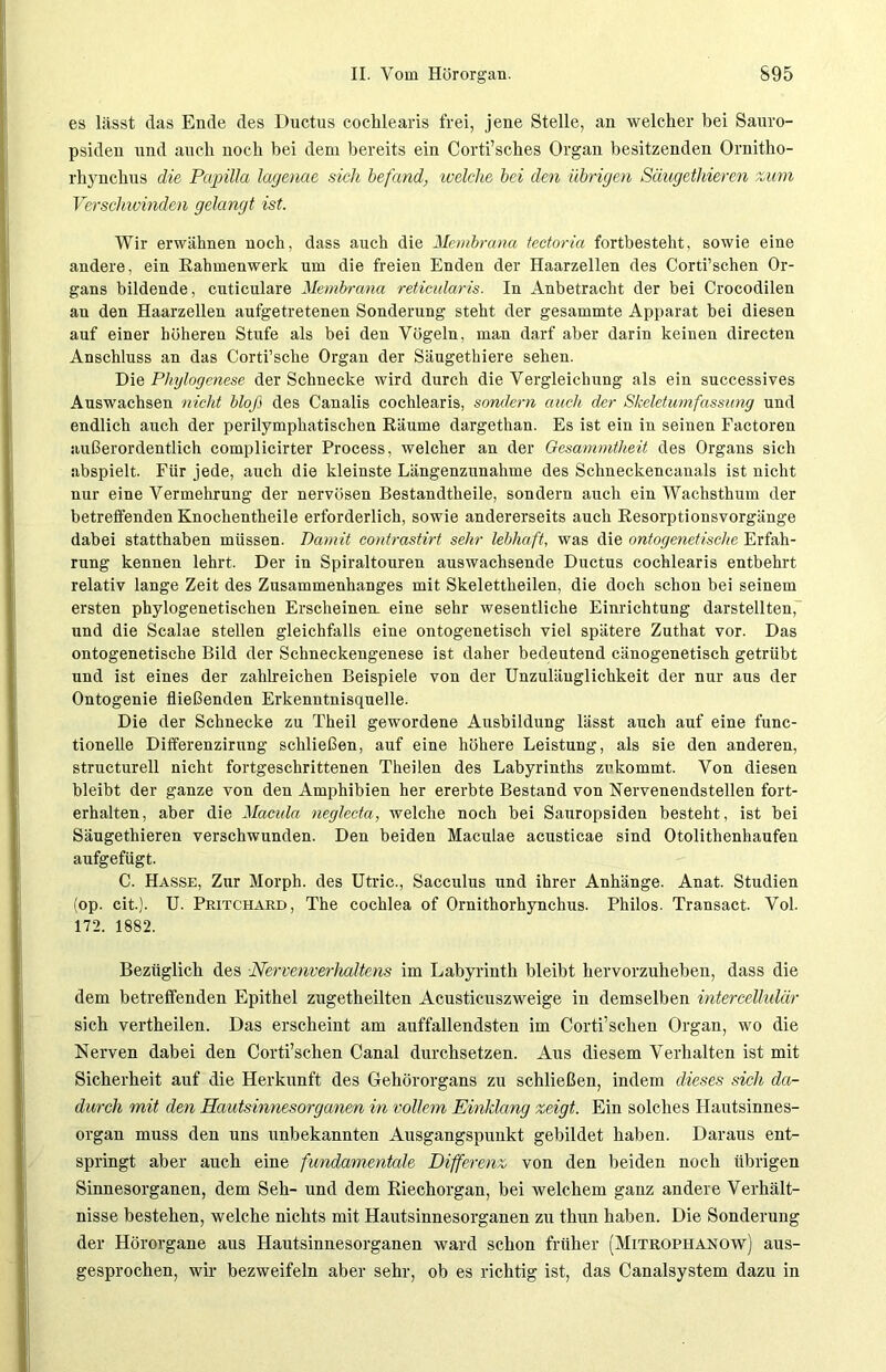 es lässt das Ende des Ductus cochlearis frei, jene Stelle, au welcher bei Sauro- psideu und auch noch bei dem bereits ein Corti’sches Orgau besitzenden Ornitho- rhynchus die Parpilla lagenae sich befand, welche bei den übrigen Säugethieren zum Verschwinden gelangt ist. Wir erwähnen noch, dass auch die Membrana tectoria fortbesteht, sowie eine andere, ein Rahmenwerk um die freien Enden der Haarzellen des Corti’schen Or- gans bildende, cuticulare Membrana reticularis. In Anbetracht der bei Crocodilen an den Haarzellen aufgetretenen Sonderung steht der gesammte Apparat bei diesen auf einer höheren Stufe als bei den Vögeln, man darf aber darin keinen directen Anschluss an das Corti’sclie Organ der Säugethiere sehen. Die Phylogenese der Schnecke wird durch die Vergleichung als ein successives Auswachsen nicht bloß des Canalis cochlearis, sondern auch der Skelet Umfassung und endlich auch der perilymphatischen Räume dargethan. Es ist ein in seinen Factoren außerordentlich complicirter Process, welcher an der Gesammtheit des Organs sich abspielt. Für jede, auch die kleinste Längenzunahme des Schneckencanals ist nicht nur eine Vermehrung der nervösen Bestandtheile, sondern auch ein Wachsthum der betreffenden Knochentheile erforderlich, sowie andererseits auch Resorptionsvorgänge dabei statthaben müssen. Damit contrastirt sehr lebhaft, was die ontogenetisehe Erfah- rung kennen lehrt. Der in Spiraltouren auswachsende Ductus cochlearis entbehrt relativ lange Zeit des Zusammenhanges mit Skelettheilen, die doch schon bei seinem ersten phylogenetischen Erscheinen, eine sehr wesentliche Einrichtung darstellten, und die Scalae stellen gleichfalls eine ontogenetisch viel spätere Zutliat vor. Das ontogenetisehe Bild der Schneckengenese ist daher bedeutend cänogenetisch getrübt und ist eines der zahlreichen Beispiele von der Unzulänglichkeit der nur aus der Ontogenie fließenden Erkenntnisquelle. Die der Schnecke zu Theil gewordene Ausbildung lässt auch auf eine func- tionelle Differenzirnng schließen, auf eine höhere Leistung, als sie den anderen, structurell nicht fortgeschrittenen Theilen des Labyrinths zukommt. Von diesen bleibt der ganze von den Amphibien her ererbte Bestand von Nervenendstellen fort- erhalten, aber die Macula negleda, welche noch bei Sauropsiden besteht, ist bei Säugethieren verschwunden. Den beiden Maculae acusticae sind Otolithenhaufen aufgefügt. C. Hasse, Zur Morph, des Utric., Sacculus und ihrer Anhänge. Anat. Studien fop. cit.). U. Pritchard, The cochlea of Ornithorhynchus. Philos. Transact. Vol. 172. 1882. Bezüglich des Nervenverhaltens im Labyrinth bleibt hervorzuheben, dass die dem betreffenden Epithel zugetheilten Acusticuszweige in demselben intercellulär sich vertheilen. Das erscheint am auffallendsten im Corti’schen Organ, wo die Nerven dabei den Corti’schen Canal durchsetzen. Aus diesem Verhalten ist mit Sicherheit auf die Herkunft des Gehörorgans zu schließen, indem dieses sich da- durch mit den Hautsinnesorganen in vollem Einklang zeigt. Ein solches Hautsinnes- organ muss den uns unbekannten Ausgangspunkt gebildet haben. Daraus ent- springt aber auch eine fundamentale Differenz von den beiden noch übrigen Sinnesorganen, dem Seh- und dem Riechorgan, bei welchem ganz andere Verhält- nisse bestehen, welche nichts mit Hautsinnesorganen zu thun haben. Die Sonderung der Hörorgane aus Hautsinnesorganen ward schon früher (Mitrophänow) aus- gesprochen, wir bezweifeln aber sehr, ob es richtig ist, das Canalsystem dazu in