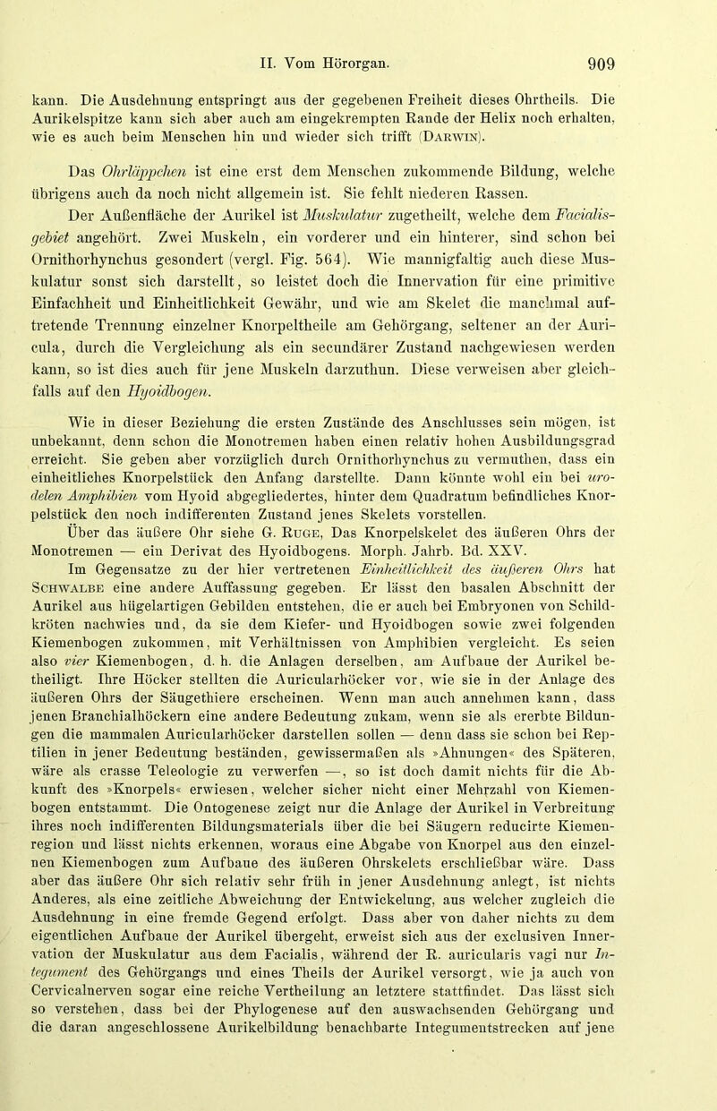 kann. Die Ausdehnung entspringt aus der gegebenen Freiheit dieses Ohrtheils. Die Aurikelspitze kann sich aber auch am eingekrempten Rande der Helix noch erhalten, wie es auch beim Menschen hin und wieder sich trifft (Darwin). Das Ohrläppchen ist eine erst dem Menschen zukommende Bildung, welche übrigens auch da noch nicht allgemein ist. Sie fehlt niederen Rassen. Der Außenfläche der Aurikel ist Muskulatur zugetheilt, welche dem Facialis- gebiet angehört. Zwei Muskeln, ein vorderer und ein hinterer, sind schon bei Ornithorhynchus gesondert (vergl. Fig. 564). Wie mannigfaltig auch diese Mus- kulatur sonst sich darstellt, so leistet doch die Innervation für eine primitive Einfachheit und Einheitlichkeit Gewähr, und wie am Skelet die manchmal auf- tretende Trennung einzelner Knorpeltheile am Gehörgang, seltener an der Auri- cula, durch die Vergleichung als ein secundärer Zustand nachgewiesen werden kann, so ist dies auch für jene Muskeln darzuthun. Diese verweisen aber gleich- falls auf den Hyoidbogen. Wie in dieser Beziehung die ersten Zustände des Anschlusses sein mögen, ist unbekannt, denn schon die Monotremen haben einen relativ hohen Ausbildungsgrad erreicht. Sie geben aber vorzüglich durch Ornithorhynchus zu vermuthen, dass ein einheitliches Knorpelstück den Anfang darstellte. Dann könnte wohl ein bei uro- delen Amphibien vom Hyoid abgegliedertes, hinter dem Quadratum befindliches Knor- pelstück den noch indifferenten Zustand jenes Skelets vorstellen. Über das äußere Ohr siehe G. Rüge, Das Knorpelskelet des äußeren Ohrs der Monotremen — ein Derivat des Hyoidbogens. Morph. Jahrb. Bd. XXV. Im Gegensätze zu der hier vertretenen Einheitlichkeit des äußeren Ohrs hat Schwalbe eine andere Auffassung gegeben. Er lässt den basalen Abschnitt der Aurikel aus hügelartigen Gebilden entstehen, die er auch bei Embryonen von Schild- kröten nachwies und, da sie dem Kiefer- und Hyoidbogen sowie zwei folgenden Kiemenbogen zukommen, mit Verhältnissen von Amphibien vergleicht. Es seien also vier Kiemenbogen, d. h. die Anlagen derselben, am Auf baue der Aurikel be- theiligt. Ihre Höcker stellten die Auricularhöcker vor, wie sie in der Anlage des äußeren Ohrs der Säugethiere erscheinen. Wenn man auch annehmen kann, dass jenen Branchialhöckern eine andere Bedeutung zukam, wenn sie als ererbte Bildun- gen die mammalen Auricularhöcker darstellen sollen — denn dass sie schon bei Rep- tilien in jener Bedeutung beständen, gewissermaßen als »Ahnungen« des Späteren, wäre als crasse Teleologie zu verwerfen —, so ist doch damit nichts für die Ab- kunft des »Knorpels« erwiesen, welcher sicher nicht einer Mehrzahl von Kiemen- bogen entstammt. Die Ontogenese zeigt nur die Anlage der Aurikel in Verbreitung ihres noch indifferenten Bildungsmaterials über die bei Säugern reducirte Kiemen- region und lässt nichts erkennen, woraus eine Abgabe von Knorpel aus den einzel- nen Kiemenbogen zum Aufbaue des äußeren Ohrskelets erschließbar wäre. Dass aber das äußere Ohr sich relativ sehr früh in jener Ausdehnung anlegt, ist nichts Anderes, als eine zeitliche Abweichung der Entwickelung, aus welcher zugleich die Ausdehnung in eine fremde Gegend erfolgt. Dass aber von daher nichts zu dem eigentlichen Aufbaue der Aurikel übergeht, erweist sich aus der exclusiven Inner- vation der Muskulatur aus dem Facialis, während der R. auricularis vagi nur In- tegument des Gehürgangs und eines Theils der Aurikel versorgt, wie ja auch von Cervicalnerven sogar eine reiche Vertheilung an letztere stattfindet. Das lässt sich so verstehen, dass bei der Phylogenese auf den auswachsenden Gehörgang und die daran angeschlossene Aurikelbildung benachbarte Integumentstrecken auf jene