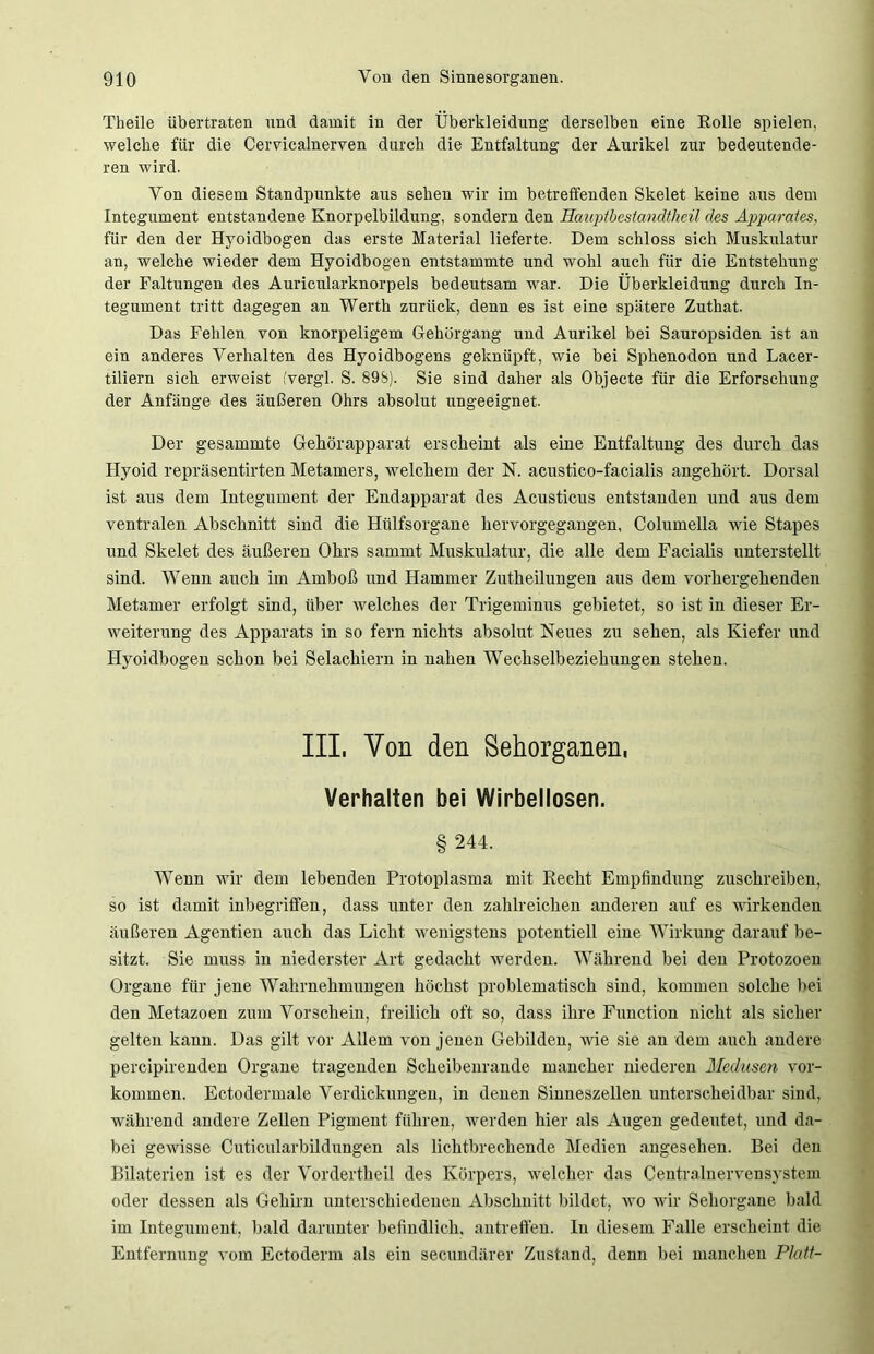 Theile übertraten und damit in der Überkleidung derselben eine Rolle spielen, welche für die Cervicalnerven durch die Entfaltung der Aurikel zur bedeutende- ren wird. Von diesem Standpunkte aus sehen wir im betreffenden Skelet keine aus dem Integument entstandene Knorpelbildung, sondern den Hauptbestandtheü des Apparates, für den der Hyoidbogen das erste Material lieferte. Dem schloss sich Muskulatur an, welche wieder dem Hyoidbogen entstammte und wohl auch für die Entstehung der Faltungen des Auricularknorpels bedeutsam war. Die Überkleidung durch In- tegument tritt dagegen an Werth zurück, denn es ist eine spätere Zuthat. Das Fehlen von knorpeligem Gehörgang und Aurikel bei Sauropsiden ist an ein anderes Verhalten des Hyoidbogens geknüpft, wie bei Sphenodon und Lacer- tiliern sich erweist fvergl. S. 89S). Sie sind daher als Objecte für die Erforschung der Anfänge des äußeren Ohrs absolut ungeeignet. Der gesammte Gehörapparat erscheint als eine Entfaltung des durch das Hyoicl repräsentirten Metamers, welchem der N. acustico-facialis angehört. Dorsal ist aus dem Integument der Endapparat des Acusticus entstanden und aus dem ventralen Abschnitt sind die Hülfsorgane hervorgegangen, Columella wie Stapes und Skelet des äußeren Ohrs sammt Muskulatur, die alle dem Facialis unterstellt sind. Wenn auch im Amboß und Hammer Zutheilungen aus dem vorhergehenden Metamer erfolgt sind, über welches der Trigeminus gebietet, so ist in dieser Er- weiterung des Apparats in so fern nichts absolut Neues zu sehen, als Kiefer und Hyoidbogen schon bei Selachiern in nahen Wechselbeziehungen stehen. III, Von den Sehorganen, Verhalten bei Wirbellosen. § 244. Wenn wir dem lebenden Protoplasma mit Recht Empfindung zuschreiben, so ist damit inbegriffen, dass unter den zahlreichen anderen auf es wirkenden äußeren Agentien auch das Licht wenigstens potentiell eine Wirkung darauf be- sitzt. Sie muss in niederster Art gedacht werden. Während bei den Protozoen Organe für jene Wahrnehmungen höchst problematisch sind, kommen solche bei den Metazoen zum Vorschein, freilich oft so, dass ihre Function nicht als sicher gelten kann. Das gilt vor Allem von jenen Gebilden, wie sie an dem auch andere percipirenden Organe tragenden Scheibenrande mancher niederen Medusen Vor- kommen. Ectodermale Verdickungen, in denen Sinneszellen unterscheidbar sind, während andere Zellen Pigment führen, werden hier als Augen gedeutet, und da- bei gewisse Cuticularbildungen als lichtbrechende Medien angesehen. Bei den Bilaterien ist es der Vordertlieil des Körpers, welcher das Centralnervensystem oder dessen als Gehirn unterschiedenen Abschnitt bildet, wo wir Sehorgane bald im Integument, bald darunter befindlich, antreffen. In diesem Falle erscheint die Entfernung vom Ectoderm als ein secundärer Zustand, denn bei manchen Platt-