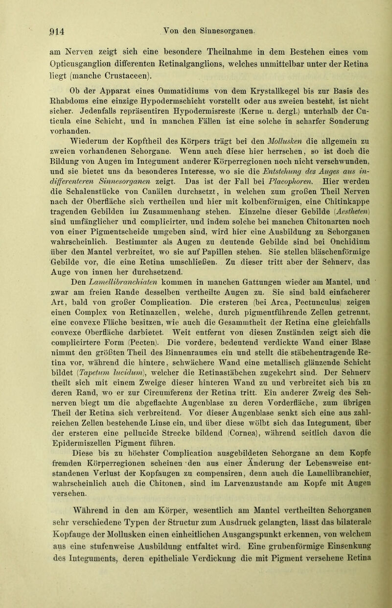 am Nerven zeigt sich eine besondere Tkeilnahme in dem Bestehen eines vom Opticusganglion differenten Retinalganglions, welches unmittelbar unter der Retina liegt (manche Crustaceen). Ob der Apparat eines Ommatidiums von dem Krystallkegel bis zur Basis des Rhabdoms eine einzige Hypodermschicht vorstellt oder aus zweien besteht, ist nicht sicher. Jedenfalls repräsentiren Hypodermisreste (Kerne u. dergl.) unterhalb der Cu- ticula eine Schicht, und in manchen Fällen ist eine solche in scharfer Sonderung vorhanden. Wiederum der Kopftheil des Körpers trägt bei den Mollusken die allgemein zu zweien vorhandenen Sehorgane. Wenn auch diese hier herrschen, so ist doch die Bildung von Augen im Integument anderer Körperregionen noch nicht verschwunden, und sie bietet uns da besonderes Interesse, wo sie die Entstehung des Auges aus in- differenteren Sinnesorganen zeigt. Das ist der Fall bei Placophoren. Hier werden die Schalenstücke von Canälen durchsetzt , in welchen zum großen Theil Nerven nach der Oberfläche sich vertheilen und hier mit kolbenförmigen, eine Chitinkappe tragenden Gebilden im Zusammenhang stehen. Einzelne dieser Gebilde (Aestheten) sind umfänglicher und complicirter, und indem solche bei manchen Chitonarten noch von einer Pigmentscheide umgeben sind, wird hier eine Ausbildung zu Sehorganen wahrscheinlich. Bestimmter als Augen zu deutende Gebilde sind bei Onchidium über den Mantel verbreitet, wo sie auf Papillen stehen. Sie stellen bläschenförmige Gebilde vor, die eine Retina umschließen. Zu dieser tritt aber der Sehnerv, das Auge von innen her durchsetzend. Den Lamellibranchiaten kommen in manchen Gattungen wieder am Mantel, und zwar am freien Rande desselben vertheilte Augen zu. Sie sind bald einfacherer Art, bald von großer Complication. Die ersteren (bei Area, Pectunculus) zeigen einen Complex von Retinazellen, welche, durch pigmentführende Zellen getrennt, eine convexe Fläche besitzen, wie auch die Gesammtheit der Retina eine gleichfalls convexe Oberfläche darbietet. Weit entfernt von diesen Zuständen zeigt sich die complicirtere Form (Pecten). Die vordere, bedeutend verdickte Wand einer Blase nimmt den grüßten Theil des Binnenraumes ein und stellt die stäbchentragende Re- tina vor, während die hintere, schwächere Wand eine metallisch glänzende Schicht bildet (Tapetum lucidum), welcher die Retinastäbchen zugekehrt sind. Der Sehnerv theilt sich mit einem Zweige dieser hinteren Wand zu und verbreitet sich bis zu deren Rand, wo er zur Circumferenz der Retina tritt. Ein anderer Zweig des Seh- nerven biegt um die abgeflachte Augenblase zu deren Vorderfläche, zum übrigen Theil der Retina sich verbreitend. Vor dieser Augenblase senkt sich eine aus zahl- reichen Zellen bestehende Linse ein, und über diese wölbt sich das Integument, über der ersteren eine pellucide Strecke bildend (Cornea), während seitlich davon die Epidermiszellen Pigment führen. Diese bis zu höchster Complication ausgebildeten Sehorgane an dem Kopfe fremden Körperregionen scheinen den aus einer Änderung der Lebensweise ent- standenen Verlust der Kopfaugen zu compensiren, denn auch die Lamellibranchier, wahrscheinlich auch die Chitonen, sind im Larvenzustande am Kopfe mit Augen versehen. Während in den am Körper, wesentlich am Mantel vertheilten Sehorganen sehr verschiedene Typen der Structur zum Ausdruck gelangten, lässt das bilaterale Kopfauge der Mollusken einen einheitlichen Ausgangspunkt erkennen, von welchem aus eine stufenweise Ausbildung entfaltet wird. Eine grubenförmige Einsenkung des Integuments, deren epitheliale Verdickung die mit Pigment versehene Retina