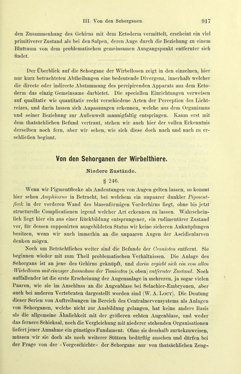 den Zusammenhang des Gehirns mit dem Ectoderm vermittelt, erscheint ein viel primitiverer Zustand als bei denSalpen, deren Auge durch .die Beziehung zu einem Blutraum von dem problematischen gemeinsamen Ausgangspunkt entfernter sich findet. Der Überblick auf die Sehorgane der Wirbellosen zeigt in den einzelnen, hier nur kurz betrachteten Abtheilungen eine bedeutende Divergenz, innerhalb welcher die directe oder indirecte Abstammung des percipirenden Apparats aus dem Ecto- derm das einzig Gemeinsame darbietet. Die specieilen Einrichtungen verweisen auf qualitativ wie quantitativ recht verschiedene Arten der Perception des Licht- reizes, und darin lassen sich Anpassungen erkennen, welche aus dem Organismus und seiner Beziehung zur Außenwelt mannigfaltig entspringen. Kaum erst mit dem thatsächlichen Befund vertraut, stehen wir auch hier der vollen Erkenntnis derselben noch fern, aber wir sehen, wie sich diese doch nach und nach zu er- schließen beginnt. Von den Sehorganen der Wirbelthiere. Niedere Zustände. § 246. Wenn wir Pigmentflecke als Andeutungen von Augen gelten lassen, so kommt hier schon Amphioxus in Betracht, bei welchem ein unpaarer dunkler Pigment- fleck in der vorderen Wand des blasenförmigen Vorderhirns liegt, ohne bis jetzt structurelle Complicationen irgend welcher Art erkennen zu lassen. Wahrschein- lich liegt hier ein aus einer Kückbildung entsprungener, ein rudimentärer Zustand vor, für dessen supponirten ausgebildeten Status wir keine sicheren Anknüpfungen besitzen, wenn wir auch immerhin an die unpaaren Augen der Ascidienlarven denken mögen. Noch um Beträchtliches weiter sind die Befunde der Cranioten entfernt. Sie beginnen wieder mit zum Theil problematischen Verhältnissen. Die Anlage des Sehorgans ist an jene des Gehirns geknüpft, und darin ergiebt sich ein von allen Wirbellosen mit einziger Ausnahme der Tunicaten (s. oben) entfernter Zustand. Noch auffallender ist die erste Erscheinung der Augenanlage in mehreren, ja sogar vielen Paaren, wie sie im Anschluss an die Augenblase bei Selachier-Embryonen, aber auch bei anderen Vertebraten dargestellt worden sind (W. A. Locy). Die Deutung dieser Serien von Auftreibungen im Bereich des Centralnervensystems als Anlagen von Sehorganen, welche nicht zur Ausbildung gelangen, hat keine andere Basis als die allgemeine Ähnlichkeit mit der größeren echten Augenblase, und weder das fernere Schicksal, noch die Vergleichung mit niederer stehenden Organisationen liefert jener Annahme ein günstiges Fundament. Ohne sie desshalb zurückzuweisen, müssen wir sie doch als noch weiterer Stützen bedürftig ansehen und dürfen bei der Frage von der »Vorgeschichte« der Sehorgane nur von thatsächlichen Zeug-
