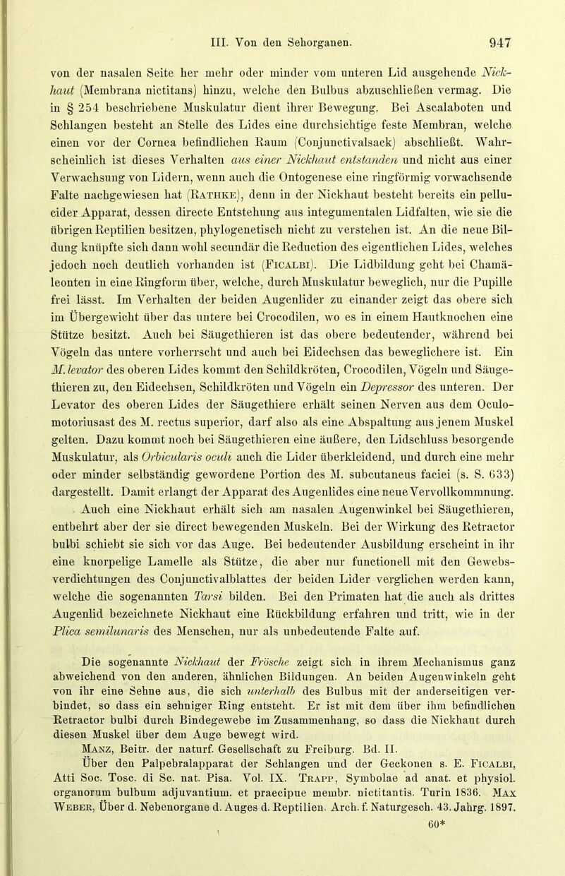 von der nasalen Seite her mehr oder minder vom unteren Lid ausgehende Nick- haut (Membrana nictitans) hinzu, welche den Bulbus abzuschließen vermag. Die in § 254 beschriebene Muskulatur dient ihrer Bewegung. Bei Ascalaboten und Schlangen besteht an Stelle des Lides eine durchsichtige feste Membran, welche einen vor der Cornea befindlichen Raum (Conjunctivalsack) abschließt. Wahr- scheinlich ist dieses Verhalten aus einer Nickhaut entstanden und nicht aus einer Verwachsung von Lidern, wenn auch die Ontogenese eiue ringförmig vorwachsende Falte nachgewiesen hat (Rathke), denn in der Nickhaut besteht bereits ein pellu- cider Apparat, dessen directe Entstehung aus integumentalen Lidfalten, wie sie die übrigen Reptilien besitzen, phylogenetisch nicht zu verstehen ist. An die neue Bil- dung knüpfte sich dann wohl secundär die Reduction des eigentlichen Lides, welches jedoch noch deutlich vorhanden ist (Ficalbi). Die Lidbildung geht bei Chamä- leonten iu eine Ringform über, welche, durch Muskulatur beweglich, nur die Pupille frei lässt. Im Verhalten der beiden Augenlider zu einander zeigt das obere sich im Übergewicht über das untere bei Crocodilen, wo es in einem Hautknochen eine Stütze besitzt. Auch bei Säugethieren ist das obere bedeutender, während bei Vögeln das untere vorherrscht und auch bei Eidechsen das beweglichere ist. Ein M. levator des oberen Lides kommt den Schildkröten, Crocodilen, Vögeln und Säuge- thieren zu, den Eidechsen, Schildkröten und Vögeln ein Depressor des unteren. Der Levator des oberen Lides der Säugethiere erhält seinen Nerven aus dem Oculo- motoriusast des M. rectus superior, darf also als eine Abspaltung aus jenem Muskel gelten. Dazu kommt noch bei Säugethieren eine äußere, den Lidschluss besorgende Muskulatur, als Orbicularis oculi auch die Lider überkleidend, und durch eine mehr oder minder selbständig gewordene Portion des M. subcutaneus faciei (s. S. 633) dargestellt. Damit erlangt der Apparat des Augenlides eine neue Vervollkommnung. Auch eine Nickhaut erhält sich am nasaleu Augenwinkel bei Säugethieren, entbehrt aber der sie direct bewegenden Muskeln. Bei der Wirkung des Retractor bulbi schiebt sie sich vor das Auge. Bei bedeutender Ausbildung erscheint in ihr eine knorpelige Lamelle als Stütze, die aber nur functionell mit den Gewebs- verdichtungen des Conjunctivalblattes der beiden Lider verglichen werden kann, welche die sogenannten Tarsi bilden. Bei deu Primaten hat die auch als drittes Augenlid bezeichnete Nickhaut eine Rückbildung erfahren und tritt, wie in der Plica semilunaris des Menschen, nur als unbedeutende Falte auf. Die sogenannte Nickhaut der Frösche zeigt sich in ihrem Mechanismus ganz abweichend von den anderen, ähnlichen Bildungen. An beiden Augenwinkeln geht von ihr eine Sehne aus, die sich unterhalb des Bulbus mit der anderseitigen ver- bindet, so dass ein sehniger Ring entsteht. Er ist mit dem über ihm befindlichen Retractor bulbi durch Bindegewebe im Zusammenhang, so dass die Nickhaut durch diesen Muskel über dem Auge bewegt wird. Manz, Beitr. der naturf. Gesellschaft zu Freiburg. Bd. II. Über den Palpebralapparat der Schlangen und der Geckonen s. E. Ficalbi, Atti Soc. Tose, di Sc. nat. Pisa. Vol. IX. Trapp, Symbolae ad anat. et physiol. organorum bulbum adjuvantium. et praecipue meinbr. nictitantis. Turin 1836. Max Weber, Über d. Nebenorgane d. Auges d. Reptilien. Arch. f. Naturgesch. 43. Jahrg. 1897. 60*