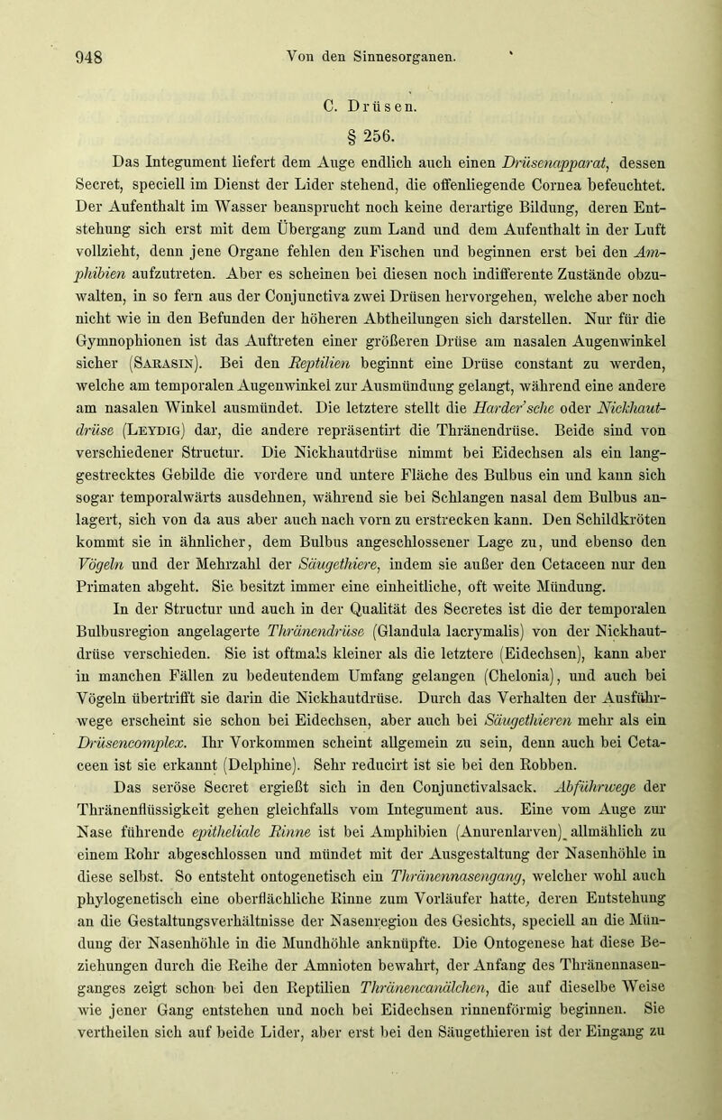 C. Drüse n. § 256. Das Integument liefert dem Auge endlich auch einen Drüsenapparat, dessen Secret, speciell im Dienst der Lider stehend, die olfenliegende Cornea befeuchtet. Der Aufenthalt im Wasser beansprucht noch keine derartige Bildung, deren Ent- stehung sich erst mit dem Übergang zum Land und dem Aufenthalt in der Luft vollzieht, denn jene Organe fehlen den Fischen und beginnen erst bei den Am- phibien aufzutreten. Aber es scheinen bei diesen noch indifferente Zustände obzu- walten, in so fern aus der Conjunctiva zwei Drüsen hervorgehen, welche aber noch nicht wie in den Befunden der höheren Abtheilungen sich darstellen. Nur für die Gymnophionen ist das Auftreten einer größeren Drüse am nasalen Augenwinkel sicher (Saiiasin). Bei den Reptilien beginnt eine Drüse constant zu werden, welche am temporalen Augenwinkel zur Ausmündung gelangt, während eine andere am nasalen Winkel ausmündet. Die letztere stellt die Harder sehe oder Nickhaut- drüse (Leydig) dar, die andere repräsentirt die Thränendriise. Beide sind von verschiedener Structur. Die Nickhautdrüse nimmt bei Eidechsen als ein lang- gestrecktes Gebilde die vordere und untere Fläche des Bulbus ein und kann sich sogar temporalwärts ausdehnen, während sie bei Schlangen nasal dem Bulbus an- lagert, sich von da aus aber auch nach vorn zu erstrecken kann. Den Schildkröten kommt sie in ähnlicher, dem Bulbus angeschlossener Lage zu, und ebenso den Vögeln und der Mehrzahl der Säugethiere, indem sie außer den Cetaceen nur den Primaten abgeht. Sie besitzt immer eine einheitliche, oft weite Mündung. In der Structur und auch in der Qualität des Secretes ist die der temporalen Bulbusregion angelagerte Tliränendrüse (Glandula lacrymalis) von der Nickhaut- driise verschieden. Sie ist oftmals kleiner als die letztere (Eidechsen), kann aber in manchen Fällen zu bedeutendem Umfang gelangen (Chelonia), und auch bei Vögeln übertrifft sie darin die Nickhautdrüse. Durch das Verhalten der Ausführ- wege erscheint sie schon bei Eidechsen, aber auch bei Säugethieren mehr als ein Drüsencomplex. Ihr Vorkommen scheint allgemein zu sein, denn auch bei Ceta- ceen ist sie erkannt (Delphine). Sehr reducirt ist sie bei den Robben. Das seröse Secret ergießt sich in den Conjunctivalsack. Abführwege der Thränenfliissigkeit gehen gleichfalls vom Integument aus. Eine vom Auge zur Nase führende epitheliale Rinne ist bei Amphibien (Anurenlarven)_ allmählich zu einem Rohr abgeschlossen und mündet mit der Ausgestaltung der Nasenhöhle in diese selbst. So entsteht ontogenetisch ein Thrä/nennasengang, welcher wohl auch phylogenetisch eine oberflächliche Rinne zum Vorläufer hatte, deren Entstehung an die Gestaltungsverhältnisse der Nasenregion des Gesichts, speciell an die Mün- dung der Nasenhöhle in die Mundhöhle anknüpfte. Die Ontogenese hat diese Be- ziehungen durch die Reihe der Amnioten bewahrt, der Anfang des Thränennasen- ganges zeigt schon bei den Reptilien Thränencanälchen, die auf dieselbe Weise wie jener Gang entstehen und noch bei Eidechsen rinnenförmig beginnen. Sie vertheilen sich auf beide Lider, aber erst bei den Säugethieren ist der Eingang zu