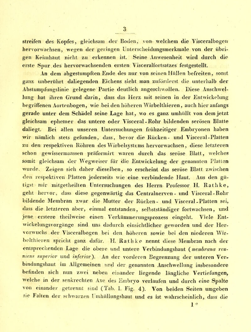 streifen des Kopfes, gleichsam der Boden, von welchem die Visceralbogea hervorAvaclisen, -wegen der geringen Unterscheidungsmerkmale von der übri- gen Keimhaut nicht zu erkennen ist. Seine Anwesenheit wird durch die erste Spur , des hervorwachsenden ersten Visceralfortsatzes festgestellt. An dem abgestumpften Ende des nur von seinen Hüllen befreiten, sonst ganz unberührt daliegenden Eichens sieht man zuförderst die unterhalb der Abstumpfungslinie gelegene Partie deutlich angeschwollen. Diese Anschwel- lung hat ihren Grund darin, dass das Herz mit seinen in der Entwickelung begriffenen Aortenbogen, wie bei den höheren Wirbelthieren, auch hier anfangs gerade unter dem Schädel seine Lage hat, wo es ganz umhüllt von dem jetzt gleichsam ephemer das untere oder Visceral - Rohr bildenden serösen Blatte daliegt. Bei allen unseren Untersuchungen frühzeitiger Embryonen haben wir nämlich stets gefunden, dass, bevor die Rücken- und Visceral-Platten zu den respektiven Röhren des Wirbelsjsttms hervorwachsen, diese letzteren schon gewissermaassen präformirt waren durch das seröse Blatt, welches somit gleichsam der Wegweiser für die Entwickelung der genannten Platten wurde. Zeigen sich daher dieselben, so erscheint das seröse Blatt zwischen den respektiven Platten jederseits wie eine verbindende Haut. Aus den gü- tigst mir mitgetheilten Untersuchungen des Herrn Professor H. Rathke, geht hervor, dass diese gegenwärtig das Centralnerven - und Visceral-Rohr bildende Membran zwar die Mutter der Rücken- und Visceral-Platten sei, dass die letzteren aber, einmal entstanden, selbstständiger fortwachsen, und jene erstere theiiweise einen Verkümmerungsprozess eingeht. Viele Ent- wickelungsvorgänge sind uns dadurch einsichtlicher geworden und der Her- vorwuchs der Vtsceralbogen bei den höheren sowie bei den niederen Wir- belthieren spricht ganz dafür. H. Rathke nennt diese Membran nach der entsprechenden Lage die obere und untere Verbindungshaut { memhrana reu- menfi superior und inferior). An der vorderen Begrenzung der unteren Ver- bindungshaut im Allgemeinen i\x\d der genannten Anschwellung insbesondere befinden sich nun zwei neben einander liegende längliche Vertiefungen, welche in der senkrechten Axe des Embryo verlaufen und durch eine Spalte von einander getrennt sind (Tab. 1, Fig. 4). Von beiden Seiten umgeben sie Falten der schwarzen Umhüllungshaut und es ist wahrscheinlich, dass die 1-