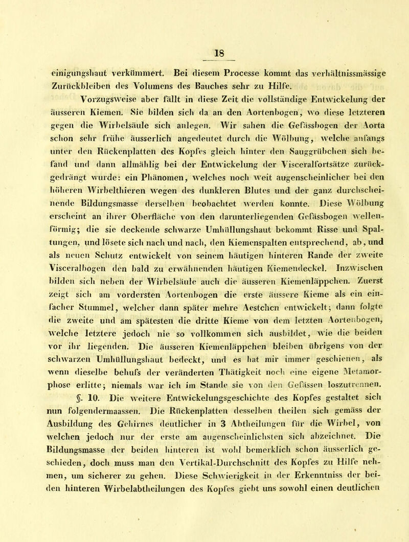 einigmigsliaut verkümmert. Bei diesem Processe kommt das verhältnissmässige Zurückbleiben des Volumens des Bauches sehr zu Hilfe. Vorzugsweise aber fällt in diese Zeit die vollständige EntAvickelung der äusseren Kiemen. Sie bilden sicli da an den Aortenbogen, wo diese letzteren gegen die Wirbelsäule sich anlegen. Wir sahen die Gefässbogcn der Aorta schon sehr frülie äusserlich angedeutet durch die Wölbung, welche anfangs unter den Rückcnplatten des Kopfes gleicli hinter den Sauggrübclien sich be- fand und dann allmählig bei der Entwickelung der Visceralfortsätzc zurück- gedrängt wurde: ein Phänomen, welches noch weit augenscheinlicher bei den liöhcren Wirbelthieren wegen des dunkleren Blutes und der ganz durchschei- nende Bildungsmasse derselben beobachtet Averden konnte. Diese Wölbung ersclieint an ilirer Oberfläclie von den darunterliegenden Gefässbogen wellen- förmig; die sie deckende schwarze Umhüllungshaut bekommt Risse und Spal- tungen, und lösete sich nach und nach, den Kiemcnspalten entsprechend, ab, und als neuen Schutz entwickelt von seinem häutigen hinteren Rande der zweite Visceralbogen den bald zu erwälmenden häutigen Kiemendeckel, Inzwischen bilden sich neben der Wirbelsäule auch die äusseren Kiemenläppchen. Zuerst zeigt sicli am vordersten Aortenbogen die erste äussere Kieme als ein ein- facher Stummel, welcher dann später mehre Aestclicn entwickelt^ dann folgte die zweite und am spätesten die dritte Kieme von dem letzten Aorteubogen, welche letztere jedocli nie so vollkommen sich ausbildet, wie die beiden vor ihr liegenden. Die äusseren Kiemenläppchen bleiben übrigens von der schwarzen UmhüUungsliaut bedeckt, und es hat mir immer geschienen, als wenn dieselbe behufs der veränderten Thätigkeit noch eine eigene Metamor- phose erlitte; niemals Mar ich im Stande sie von den Gefässen loszutrennen. §. 10. Die weitere Entwickelungsgeschichte des Kopfes gestaltet sich nun folgendermaassen. Die Rückenplatten desselben theilen sich gemäss der Ausbildung des Geliirncs deutlicher in 3 Abtheihuigen für die Wirbel, von welchen jedoch nur der erste am augenscheinlichsten sicli abzeichnet. Die Bildungsmasse der beiden liintercn ist wohl bemerklich schon äusserlich ge- schieden, doch muss man den Vertikal-Durchschnitt des Kopfes zu Hilfe neh- men, um sicherer zu gehen. Diese ScliM'ierigkeit iu der Erkenntniss der bei- den hinteren Wirbelabtheilungen des Kopfes giebt uns sowohl einen deutlichen