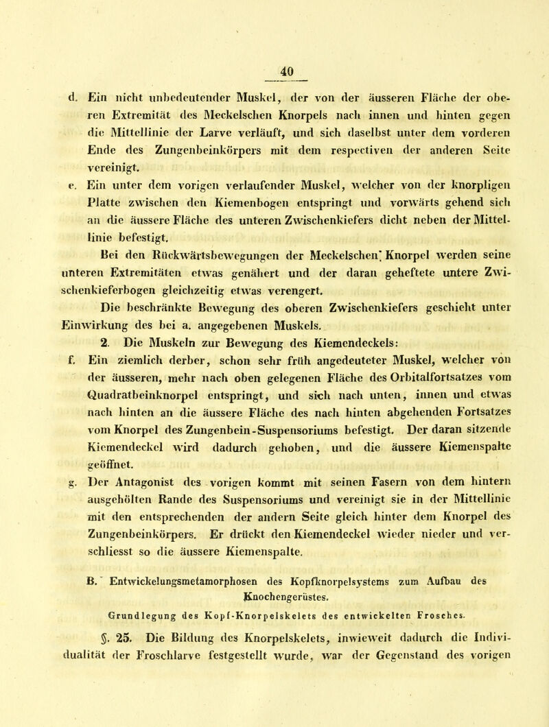 d. Ein nicht imbedeutender Muskel, der von der äusseren Fläche der obe- ren Extremität des Meckelschen Knorpels nach innen und hinten gegen die Mittellinie der Larve verläuft, und sich daselbst unter dem vorderen Ende des Zungenbeinkörpers mit dem respectiven der anderen Seite vereinigt. e. Ein unter dem vorigen verlaufender Muskel, welcher von der knorpligen Platte zwischen den Kiemenbogen entspringt und vorwärts gehend sich an die äussere Fläche des unteren Zwischenkiefers dicht neben der Mittel- linie befestigt. Bei den Riickwärtsbewegungen der Meckelschen* Knorpel werden seine unteren Extremitäten etwas genähert und der daran geheftete untere Zwi- schenkieferbogen gleichzeitig etwas verengert. Die beschränkte Bewegung des oberen Zwischenkiefers geschieht unter Einwirkung des bei a. angegebenen Muskels. 2. Die Muskeln zur Bewegung des Kiemendeckels: f. Ein ziemlich derber, schon sehr früh angedeuteter Muskel, welcher von der äusseren, mehr nach oben gelegenen Fläche des Orbitalfortsatzes vom Quadratbeinknorpel entspringt, und sich nach unten, innen und etwas nach hinten an die äussere Fläche des nach hinten abgehenden Fortsatzes vom Knorpel des Zungenbein-Suspensoriums befestigt. Der daran sitzende Kiemendeckel wird dadurch gehoben, und die äussere Kiemenspaite geöffnet. g. Der Antagonist des vorigen kommt mit seinen Fasern von dem hintern ausgehölten Rande des Suspensoriums und vereinigt sie in der Mittellinie mit den entsprechenden der andern Seite gleich hinter dem Knorpel des Zungenbeinkörpers. Er drückt den Kiemendeckel wieder nieder und vcr- schliesst so die äussere Kiemenspalte. B.' Entwickelungsmetamorphosen des Kopflinorpelsystems zum Aufbau des Knochengerüstes. Grundlegung des Kopf-Knorpelskelets des entwickelten Frosches. §. 25. Die Bildung des Knorpelskelets, inwieweit dadurch die Indivi- dualität der Froschlarve festgestellt wurde, war der Gegenstand des vorigen