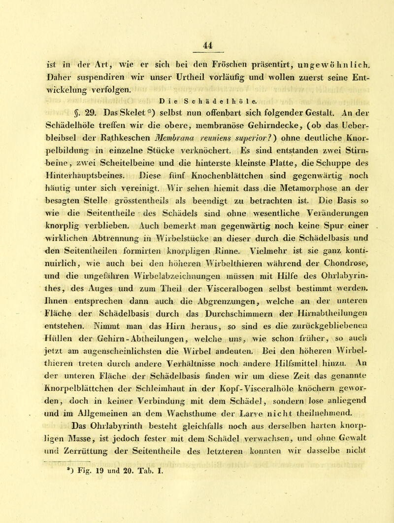 ist in der Art, wie er sich bei den Fröschen präsentirt, ungewöhnlich. Daher siispendiren wir unser Urtheil vorläufig und wollen zuerst seine Ent- wickelung verfolgen. DieSchädelhÖIe. §. 29. Das Skelet selbst nun offenbart sich folgender Gestalt. An der Schädelhöle treffen wir die obere, membranöse Gehirndecke, (ob das üeber- bleibsel der Rathkeschen Membrana reuniens superior?} ohne deutliche Knor- pelbildung in einzelne Stücke verknöchert. Es sind entstanden zwei Stirn- beine, zwei Scheitelbeine und die hinterste kleinste Platte, die Schuppe des Hinterhauptsbeines. Diese fünf Knochenblättchen sind gegenwärtig noch häutig unter sich vereinigt. Wir sehen hiemit dass die Metamorphose an der besagten Stelle grösstentlieils als beendigt zu betrachten ist. Die Basis so wie die Seitentheile - des Schädels sind ohne wesentliche Veränderungen knorplig verblieben. Auch bemerkt man gegenwärtig noch keine Spur einer wirklichen Abtrennung in Wirbelstücke an dieser durch die Schädelbasis und den Seitentheilen formirten knorpligen Rinne. Vielmehr ist sie ganz konti- nuirlich, wie auch bei den höheren Wirbelthieren während der Chondrose, und die ungefähren Wirbelabzeiclmungen müssen mit Hilfe des Ohrlabyrin- thes, des Auges und zum Theil der Visceralbogen selbst bestimmt werden. Ihnen entsprechen dann auch die Abgrenzungen, welche an der unteren Fläche der Schädelbasis durch das Durchschimmern der Hirnabtheilungen entstehen. Nimmt man das Hirn heraus, so sind es die zurückgebliebenen Hüllen der Gehirn - Abtheilungen, welche uns, wie schon früher, so auch jetzt am augenscheinlichsten die Wirbel andeuten. Bei den höheren Wirbel- thieren treten durch andere Verhältnisse noch andere Hilfsmittel hinzu. An der unteren Fläche der Schädelbasis finden wir um diese Zeit das genannte Knorpelblättchen der Schleimhaut in der Kopf-Visceralhöle knöchern gewor- den, doch in keiner Verbindung mit dem Schädel, sondern lose anliegend und im Allgemeinen an dem Wachsthume der Larve nicht theilnehniend. Das Ohrlabj^rinth besteht gleichfalls noch aus derselben harten knorp- ligen Masse, ist jedoch fester mit dem Schädel verwachsen, und ohne Gewalt und Zerrüttung der Seitentheile des letzteren konnten wir dasselbe nicht *) Fig. 19 und 20. Tab. I.