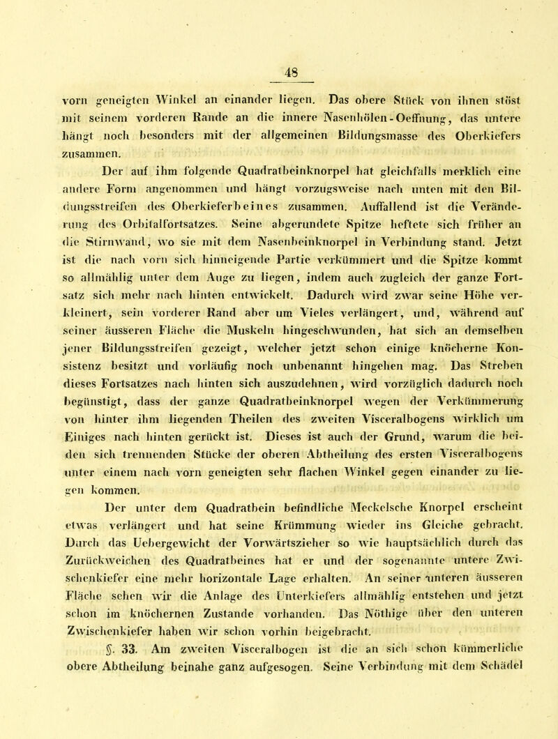 vorn geneigten Winkel an einander liegen. Das obere Stück von ihnen stöst mit seinem vorderen Rande an die innere Nasenhölen-Oeffnuns:, das untere hängt noch besonders mit der allgemeinen Bildungsmasse des Oberkiefers zusammen. Der auf ihm folgende Quadratbeinknorpel hat gleichfalls merklich eine andere Form angenommen und hängt vorzugsweise nach unten mit den Bil- dungsstreifen des Oberkieferbeines zusammen, iluffallend ist die Verände- rung des Orbitalfortsatzes. Seine abgerundete Spitze heftete sich früher an die Stirm^ and, wo sie mit dem Nasenbeinknorpel in Verbindung stand. Jetzt ist die nach vorn sicli hinneigende Partie verkümmert und die Spitze koromt so allmählig unter dem Auge zu liegen, indem auch zugleich der ganze Fort- satz sich mehr nach hinten entwickelt. Dadurch Avird zwar seine Höhe ver- kleinert, sein vorderer Rand aber um Vieles verlängert, und, während auf seiner äusseren Fläche die Muskeln hingeschwunden, hat sich an demselben jener Bildungsstreifen gezeigt, welcher jetzt schon einige knöcherne Kon- sistenz besitzt und vorläufig noch unbenannt hingehen mag. Das Streben dieses Fortsatzes nach hinten sich auszudehnen, wird vorzüglich dadurch noch begünstigt, dass der ganze Quadratbeinknorpel wegen der Verkümmerung von liinter ihm liegenden Theilen des zweiten Visceralbogens wirklich um Einiges nach hinten gerückt ist. Dieses ist auch der Grund, warum die bei- den sich trennenden Stücke der oberen Abtheilang des ersten Visceralbogens ujiter einem nach vorn geneigten sehr flachen Winkel gegen einander zu lie- gen kommen. Der unter dem Quadratbein befindliche Meckelsche Knorpel erscheint etwas verlängert und hat seine Krümmung wieder ins Gleiche gebracht. Durch das Uebergewicht der Vorwärtszieher so wie hauptsächlich durch das Zurückweichen des Quadratbeines hat er und der sogenannte untere Zwi- schenkiefer eine mehr horizontale Lage erhalten. An seiner imtcren äusseren Fläche sehen wii- die Anlage des Unterkiefers allmählig entstehen und jetzt schon im knöchernen Zustande vorhanden. Das Nöthige über den unteren Zvvischenkiefer haben wir schon vorhin beigebracht. %. 33. Am zweiten Visceralbogen ist die an sicli schon kümmerliche obere Abtheilung beinahe ganz aufgesogen. Seine Verbindung mit dem Schädel