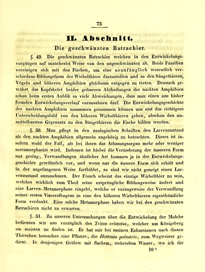 II« Abschuitt« Die geschwänzten Batrachier. §. 49. Die geschwänzten Batrachier weichen in den Entwickelungs- vorgängen auf mancherlei Weise von den ungeschwänzten ab. Beide Familien vereinigen sich mit den Fischen, um eine uranfänglich wesentlich ver- schiedene Bildungsform der Wirbelthiere darzustellen und so den Säugethieren, Vögeln und höheren Amphibien gleichsam entgegen zu treten. Dennoch ge- währt das Kopfskelet beider grösseren Abtheilungen der nackten Amphibien schon beim ersten Anblik so viele Abweichungen, dass man einen uns bisher fremden Entwickelungsverlauf vorausahnen darf. Die Entwickelungsgeschichte der nackten Amphibien zusammen genommen können uns erst das richtigere Unterscheidungsbild von den höheren Wirbelthieren geben, obschon den un- mittelbarsten Gegensatz zu den Säugethieren die Fische bilden werden. §. 50. Man pflegt in den zoologischen Schriften den Larvenzustand als den nackten Amphibien allgemein angehörig zu betrachten. Dieses ist in- sofern wohl der Fall, als bei ihnen das Athmungsorgan mehr oder weniger metamorphosirt wird. Indessen ist hiebei die Veränderung der äusseren Form nur gering- Verwandlungen ähnlicher Art kommen ja in der Entwickelungs- geschichte gewöhnlich vor, und wenn nur die äussere Form sich erhält und in der angefangenen Weise fortbildet, so sind wir nicht geneigt einen Lar- venzustand anzunehmen. Der Frosch scheint das einzige Wirbelthier zu sein, welches wirklich zum Theil seine ursprüngliche Bildungsweise ändert und eine Larven-Metamorphose eingeht, welche er vorzugsweise der Verwandlung seines ersten Visceralbogens in eine den höheren Wirbelthieren eigenthiimliche Form verdankt. Eine solche Metamorphose haben wir bei den geschwänzten Batrachiern nicht zu erwarten. §. 51, Zu unseren Untersuchungen über die Entwickelung der Molche bedienten wir uns vorzüglich des Triton cristatus, welcher um Königsberg am meisten zu finden ist. Es hat mir bei meinen Exkursionen nach diesen Thierchen besonders eine Pflanze, die Hottonia palustris, zum Wegweiser ge- dient. In denjenigen Gräben mit flachem, stehendem Wasser, wo ich die 10*