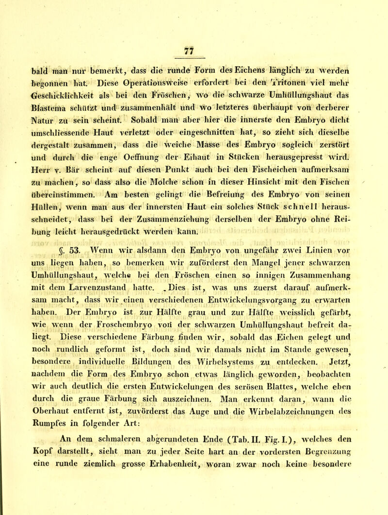 71 bald man nur bemerkt, dass die runde Form des Eichens länglich zu werden begonnen hat Diese Operationsweise erfordert bei den Tritoneri viel mehr Geschicklichkeit als bei den Fröschen, wo die schwarze Umhüllungshaut das Blastema schützt und zusammenhält und Wo letzteres überhaupt von derberer Natur zu sein scheint. Sobald man aber hier die innerste den Embryo dicht umschliessende Haut verletzt oder eingeschnitten hat, so zieht sich dieselbe dergestalt zusammen, dass die weiche Masse des Embryo sogleich zerstört und durch die enge OefFnung der Eihaut in Stücken herausgepresst wird. Herr v. Bär scheint auf diesen Punkt auch bei den Fischeichen aufmerksam zu machen, so dass also die Molche schon in dieser Hinsicht mit den Fischen übereinstimmen. Am besten gelingt die Befreiung des Embryo von seinen Hüllen, wenn man aus der innersten Haut ein solches Stück schnell heraus- schneidet, dass bei der Zusammenziehung derselben der Embryo ohne Rei- bung leicht herausgedrückt werden kann. §. 53. Wenn wir alsdann den Embryo von ungefähr zwei Linien vor uns liegen haben, so bemerken wir zuförderst den Mangel jener schwarzen Umhüllungshaut, welche bei den Fröschen einen so innigen Zusammenhang mit dem Larvenzustand hatte. .Dies ist, was uns zuerst darauf aufmerk- sam macht, dass wir einen verschiedenen Entwickelungsvorgang zu erwarten haben. Der Embryo ist zur Hälfte grau und zur Hälfte weisslich gefärbt, wie wenn der Froschembryo voii der schwarzen Umhüllungshaut befreit da- liegt. Diese verschiedene Färbung finden wir, sobald das Eichen gelegt und noch rundlich geformt ist, doch sind wir damals nicht im Stande gewesen besondere individuelle Bildungen des Wirbelsystems zu entdecken. Jetzt, nachdem die Form des Embryo schon etwas länglich geworden, beobachten wir auch deutlich die ersten Entwickelungen des serösen Blattes, welche eben durch die graue Färbung sich auszeichnen. Man erkennt daran, wann die Oberhaut entfernt ist, zuvörderst das Auge und die Wirbelabzeichnungen des Rumpfes in folgender Art: An dem schmaleren abgerundeten Ende (Tab. II. Fig. I.), welclies den Kopf darstellt, sieht man zu jeder Seite hart an der vordersten Begrenzung eine runde ziemlieh grosse Erhabenheit, woran zwar noch keine besondere