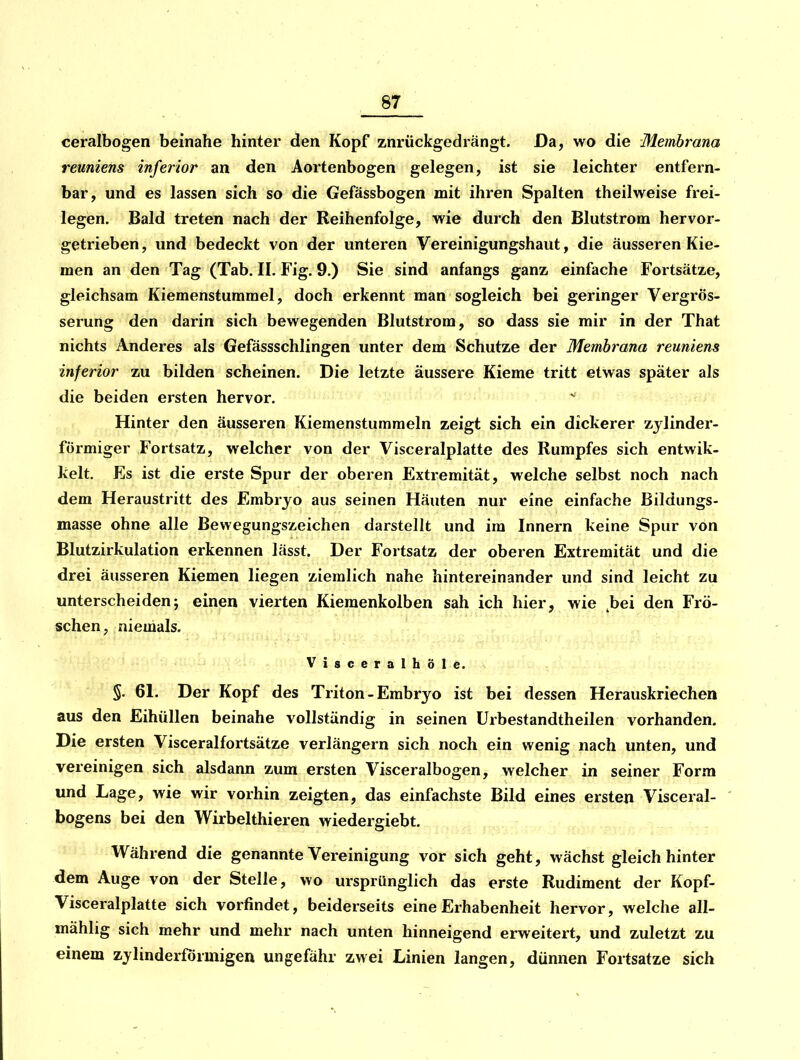 ceralbogen beinahe hinter den Kopf znrückgedrängt. Da, wo die Membrana reuniens inferior an den Aortenbogen gelegen, ist sie leichter entfern- bar, und es lassen sich so die Gefässbogen mit ihren Spalten theilweise frei- legen. Bald treten nach der Reihenfolge, wie durch den Blutstrom her vor- getrieben , und bedeckt von der unteren Vereinigungshaut, die äusseren Kie- men an den Tag (Tab. II. Fig. 9.) Sie sind anfangs ganz, einfache Fortsätze, gleichsam Kiemenstummel, doch erkennt man sogleich bei geringer Vergrös- serung den darin sich bewegenden Blutstrom, so dass sie mir in der That nichts Anderes als Gefässschlingen unter dem Schutze der Membrana reuniens inferior zu bilden scheinen. Die letzte äussere Kieme tritt etwas später als die beiden ersten hervor. Hinter den äusseren Kiemenstummeln zeigt sich ein dickerer zylinder- förmiger Fortsatz, welcher von der Visceralplatte des Rumpfes sich entwik- kelt. Es ist die erste Spur der oberen Extremität, welche selbst noch nach dem Heraustritt des Embryo aus seinen Häuten nur eine einfache Bildungs- masse ohne alle Bewegungszeichen darstellt und im Innern keine Spur von Blutzirkulation erkennen lässt. Der Fortsatz der oberen Extremität und die drei äusseren Kiemen liegen ziemlich nahe hintereinander und sind leicht zu unterscheidenj einen vierten Kieraenkolben sah ich hier, wie ^bei den Frö- schen, niemals. Visceralhöle. 5. 61. Der Kopf des Triton - Embryo ist bei dessen Herauskriechen aus den Eihüllen beinahe vollständig in seinen ürbestandtheilen vorhanden. Die ersten Visceralfortsätze verlängern sich noch ein wenig nach unten, und vereinigen sich alsdann zum ersten Visceralbogen, welcher in seiner Form und Lage, wie wir vorhin zeigten, das einfachste Bild eines ersten Visceral- bogens bei den Wirbelthieren wiedergiebt. Während die genannte Vereinigung vor sich geht, wächst gleich hinter dem Auge von der Stelle, wo ursprünglich das erste Rudiment der Kopf- Visceralplatte sich vorfindet, beiderseits eine Erhabenheit hervor, welche all- mählig sich mehr und mehr nach unten hinneigend erweitert, und zuletzt zu einem zylinderförmigen ungefähr zwei Linien langen, dünnen Fortsatze sich