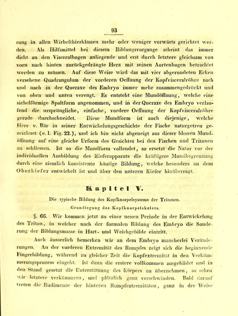 niiig in allen Wirbcltliierklasseii mehr oder weniger vorwärts gerichtet wer- den. Als Hilfsmittel bei diesem Bildiingsvorgange scheint das immer dicht an den Visceralbogen anliegende und erst durch letztere gleichsam von vorn nach hinten zurückgedrängte Herz mit seinen Aortenbogen betrachtet werden zu müssen. Auf diese Weise wird das mit vier abgerundeten Ecken versehene Quadi^angulura der vorderen OefFnung der Kopfvisceralröhre nach und nach in der Queraxe des Embryo immer mehr zusammengedrückt und von oben und unten verengt. Es entsteht eine MundöfFnuiig, Avelche eine sicliclförmige Spaltform angenommen, und in der Queraxe des Embryo verlau- fend die ursprüngliche, einfache, vordere OeiFnung der Kopfvisceralrölire gerade durchschneidet. Diese Mundform ist auch diejenige, welche Herr v. Bär in seiner Entwickelungsgeschichte der Fische naturgetreu ge- zeichnet (e. 1. Fig. 22.), und ich bin nicht abgeneigt aus dieser blossen Mund- offnung auf eine gleiche Urform des Gesichtes bei den Fischen nnd Tritonon zu schliessen. Ist so die Mundform vollendet, so ersetzt die Natur vor der individuellen Ausbildung des Kieferapparats die krtiftigere Mundhegrenaung durch eine ziemlich konsistente häutige Bildung, vrelchc besonders an dem Oberkiefer entwickelt ist und über den unteren Kiefer hinüberragt. M. a |i i t e 1 V. Die typische Bildung des Kopfknorpelsystems der Tritonen. Grundlegung des Kopfknorpelskelets. §. 66. Wir kommen jetzt 2u einer neuen Periode in der Entwickelimg des Triton, in welcher nach der formalen Bildung des Embryo die Sonde- rung der Bildungsmasse in Hart- und Weichgebilde eintritt. Auch äusserlich bemerken wir an dem Embryo mancherlei Verände- rungen. An der vorderen Extremität des Rumpfes zeigt sich die beginnende Fingerbildung, während zu gleicher Zeit die Kopfextremität in den Vcrküni- merungsprozess eingeht, ist dann die erstere vollkommen ausgebildet und in den Stand gesetzt die Unterstützung des Körpers zu übernelunen, so sehen ^vir letztere verkümmern, und plötzlich ganz verschwinden. Bald darauf treten die Rudimente der hinteren Rumpfextremitäten, ganz in der Weise