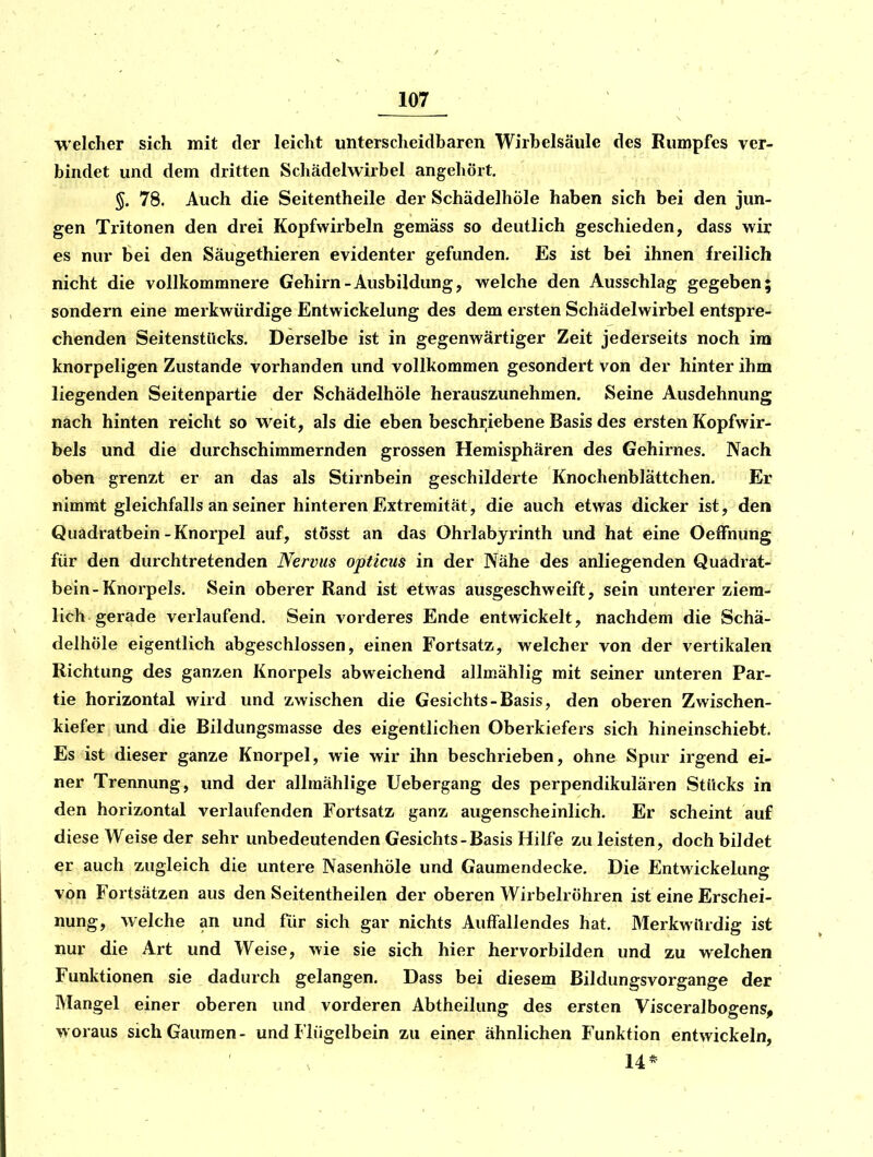 welcher sich mit der leicht unterscheidbaren Wirbelsäule des Rumpfes ver- bindet und dem dritten Schädelwirbel angehört 5. 78. Auch die Seitentheile der SchädelhÖle haben sich bei den jun- gen Tritonen den drei Kopfwirbeln gemäss so deutlich geschieden, dass wii; es nur bei den Säugethieren evidenter gefunden. Es ist bei ihnen freilich nicht die vollkommnere Gehirn-Ausbildung, welche den Ausschlag gegeben; sondern eine merkwürdige Entwickelung des dem ersten Schädelwirbel entspre- chenden Seitenstücks. Derselbe ist in gegenwärtiger Zeit jederseits noch im knorpeligen Zustande vorhanden und vollkommen gesondert von der hinter ihm liegenden Seitenpartie der SchädelhÖle herauszunehmen. Seine Ausdehnung nach hinten reicht so weit, als die eben beschriebene Basis des ersten Kopfwir- bels und die durchschimmernden grossen Hemisphären des Gehirnes. Nach oben grenzt er an das als Stirnbein geschilderte Knochenblättchen. Er nimmt gleichfalls an seiner hinteren Extremität, die auch etwas dicker ist, den Quadratbein-Knorpel auf, stösst an das Ohrlabyrinth und hat eine OefFnung für den durchtretenden Nervus opticus in der Nähe des anliegenden Quadrat- bein-Knorpels. Sein oberer Rand ist etwas ausgeschweift, sein unterer ziem- lich gerade verlaufend. Sein vorderes Ende entwickelt, nachdem die Schä- delhÖle eigentlich abgeschlossen, einen Fortsatz, welcher von der vertikalen Richtung des ganzen Knorpels abweichend allmählig mit seiner unteren Par- tie horizontal wird und zwischen die Gesichts-Basis, den oberen Zwischen- kiefer und die Bildungsmasse des eigentlichen Oberkiefers sich hineinschiebt. Es ist dieser ganze Knorpel, wie wir ihn beschrieben, ohne Spur irgend ei- ner Trennung, und der allmählige Uebergang des perpendikulären Stücks in den horizontal verlaufenden Fortsatz ganz augenscheinlich. Er scheint auf diese Weise der sehr unbedeutenden Gesichts-Basis Hilfe zu leisten, doch bildet er auch zugleich die untere Nasenhöle und Gaumendecke. Die Entwickelung von Fortsätzen aus den Seitentheilen der oberen Wirbelröhren ist eine Erschei- nung, welche an und für sich gar nichts Aulfallendes hat. Merkwürdig ist nur die Art und Weise, wie sie sich hier hervorbilden und zu welchen Funktionen sie dadurch gelangen. Dass bei diesem Bildungsvorgange der Mangel einer oberen und vorderen Abtheilung des ersten Visceralbogens, woraus sich Gaumen- und Flügelbein zu einer ähnlichen Funktion entwickeln, 14*