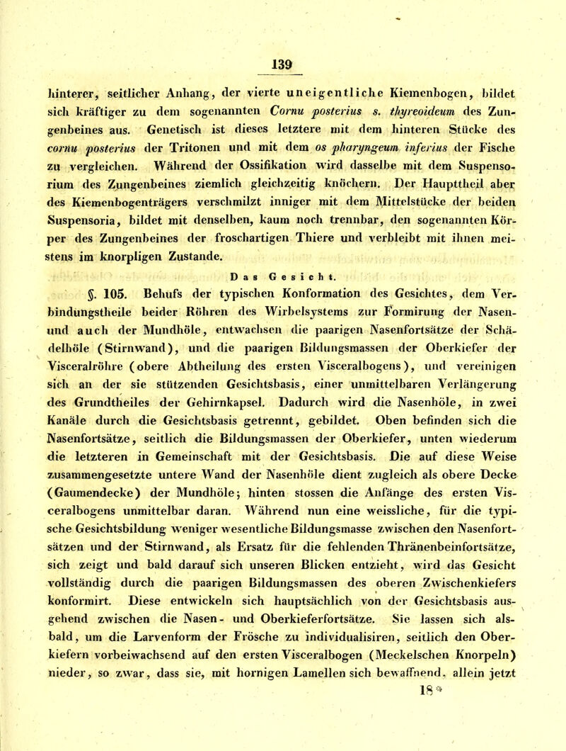 m hinterer, seitlicher Anhang, der vierte uneigentliche Kiemenbogen, bildet sich kräftiger zu dem sogenannten Cornu posterius s. thyreoideum des Zun- genbeines aus. Genetisch ist dieses letztere mit dem hinteren Stücke des cornu posterius der Tritonen und mit dem os pharyngeum inferius der Fische zu vergleichen. Während der Ossifikation wird dasselbe mit dem Suspenso- rium des Zungenbeines ziemlich gleichzeitig knöchern. Der Haupttheil aber des Kiemenbogenträgers verschmilzt inniger mit dem Mittelstücke der beiden Suspensoria, bildet mit denselben, kaum noch trennbar, den sogenannten Kör- per des Zungenbeines der froschartigen Thiere und verbleibt mit ihnen mei- stens im knorpligen Zustande. DasGesicht. §. 105. Behufs der typischen Konformation des Gesichtes, dem Ver- bindungstheil« beider Röhren des Wirbelsjstems zur Formirung der Nasen- und auch der Mundhöle, entwachsen die paarigen Nasenfortsätze der Schä- delhöle (Stirnwand), und die paarigen Biidungsmassen der Oberkiefer der Visceralröhre (obere Abtheilung des ersten Visceralbogens), und vereinigen sich an der sie stützenden Gesichtsbasis, einer unmittelbaren Verlängerung des Grundtheiles der Gehirnkapsel. Dadurch wird die Nasenhöle, in zwei Kanäle durch die Gesiclitsbasis getrennt, gebildet. Oben befinden sich die Nasenfortsätze, seitlich die Bildungsmassen der Oberkiefer, unten wiederum die letzteren in Gemeinschaft mit der Gesichtsbasis. Die auf diese Weise zusammengesetzte untere Wand der Nasenhöle dient zugleich als obere Decke (Gaumendecke) der Mundhölej hinten stossen die Anfänge des ersten Vis- ceralbogens unmittelbar daran. Während nun eine weissliche, für die typi- sche Gesichtsbildung weniger wesentliche Bildungsmasse zwischen den Nasenfort- sätzen und der Stirnwand, als Ersatz für die fehlenden Thränenbeinfortsätze, sich zeigt und bald darauf sich unseren Blicken entzieht, wird das Gesicht vollständig durch die paarigen Bildungsmassen des oberen Zwischenkiefers konformirt. Diese entwickeln sich hauptsächlich von der Gesichtsbasis aus- gehend zwischen die Nasen- und Oberkieferfortsätze. Sie lassen sich als- bald, um die Larvenform der Frösche zu individualisiren, seitlich den Ober- kiefern vorbeiwachsend auf den ersten Visceralbogen (Meckelschen Knorpeln) nieder, so zwar, dass sie, mit hornigen Lamellen sich bewaffnend, allein jetzt