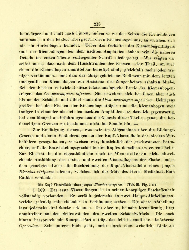 beinkorper, und Jäuft nach hinten, indem er zu den Seiten die Kiemenbogen aufnimmt, in den letzten uneigentlichen Kiemenbogen aus, an welchem sich nie ein Aortenbogen befindet. Ueber das Verhalten des Kiemenbogenträgers und der Kiemenbogen bei den nackten Amphibien haben wir die näheren J3etails im ersten Theile vorliegender Schrift niedergelegt. Wir zeigten da- selbst auch, dass nach dem Hinschwinden der Kiemen, der Theil, an wel- chem die Kiemenbogen unmittelbar befestigt sind, gleichfalls mehr oder we- niger verkümmert, und dass das übrig gebliebene Rudiment mit dem letzten uneigentlichen Kiemenbogen zur Assistenz des Zungenbeines erhalten bliebe. Bei den Fischen entwickelt diese letzte analogische Partie des Kiemenbogen- trägers das Os pharyngeim inferius. Sie erweitert sich bei ilmen aber auch bis an den Schädel, und bildet dann die Ossa 'pharyngea super iura, üebrigens greifen bei den Fischen der Kiemenbogenträger und die Kiemenbogen weit inniger in einander als bei den nackten Amphibien, so dass ich gegenwärtig, bei dem Mangel an Erfahrungen aus der Genesis dieser Theile, genau die bei- derseitigen Grenzen zu bestimmen nicht im Stande bin. — Zur Bestätigung dessen, was wir im Allgemeinen über die Bildungs- Gesetze und deren Veränderungen an der Kopf-Visceralhöle der niedern Wir- belthiere gesagt haben, verweisen wir, hinsichtlich der geschwänzten Batra- chier, auf die Entwickelungsgeschichte des Kopfes derselben im ersten Theile. Zur Einsicht in die eigenthUmliche doch im Wesentlichen nicht abwei- chende Ausbildung des ersten und zweiten Visceralbogens der Fische, möge dem geneigten Leser die Beschreibung der Kopf-Visceralhöle eines jungen Blennius mviparus dienen, welchen ich der Güte des Herrn Medizinal - Rath Rathke verdanke. Die Kopf-Visceralhöle eines jungen Blennius viviparm. (Tab. III. Fig. 7. 8,) %. 109. Der erste Visceralbogen ist in seiner knorpligen Beschaffenheit vollständig vorhanden. Er zerfällt jederseits in zwei Haupt-Abtheilungen, welche gelenkig mit einander in Verbindung stehen. Die obere Abtheilung lässt jederseits drei Stücke erkennen. Das oberste, beinahe kreuzförmig, liegt unmittelbar an den Seitenwänden des zweiten Schädelwirbels. Die nach hinten hervorstehende Knorpel-Partie trägt das leicht kenntliche, knöcherne Operculim. Sein unteres Ende geht, mehr durch eines weissliche Linie als