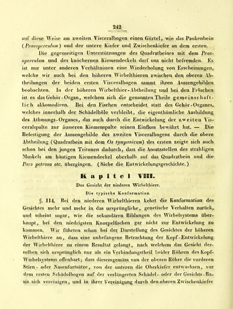 auf diese Weise am zweiten Visceralbogen einen Gürtel, wie das Paukenbeiß (Praeoperculum) und der untere Kiefer und Zwischenkiefer an dem ersten. Die gegenseitigen ünterstütz-ungen des Quadratbeines mit dem iVae- operculum und des knöchernem Kiemendeckels darf una nicht befremden. Es ist nur unter anderen Verhältnissen eine Wiederholung von Erscheinungen,; welche wir auch bei den höheren Wirbelthieren zwischen den oberen Ab- theilungen der beiden ersten Visceralbogen samtnt ihren AussengebiUlen beobachten. In der höheren Wirbelthier-Abtheilung und h.^i den Fröschen ist es das Gehör-Organ, welchem sich die genannten Theile gemeinschaft- lich akkomodiren. Bei den Fischen entscheidet statt des Gehör-Organes, welches innerbalb der SchädelhÖ]e verbleibt, die eigenthümliche Aashildung des Athmungs-Organes, das auch durch die Entwickehing der zweiten Vis- ceralspalte zur äusseren Kiemenspalte seinen Einfluss bewährt hat. — Die^ Befestigung der Aussengebilde des zweiten Viseeralbogens durch die obere Abtheikmg (Quadratbein mit dem Os ti/mpanicum) des ersten zeigte sich auch schon bei den jungen Tritonen dadurch, dass die Ansatzstellen des strahl igen Muskels am häutigen Kiemendeckel oberhalb auf das Quadratbein und die- Pars petrosa etc. übergingen. (Siehe die Entwickelungsgeschichte,) Kapitel ¥111. Das Gesicht der niederen Wirbelthiere. Die typische Konformation. 5. 114. Bei den niederen Wirbelthieren liehrt die Konformation des Gesichtes melir und mehr in das ursprüngliche, genetische Verhalten zurück^ und scheint sogar, wie die sekundären Bildungen des Wirbelsystems über- haupt, bei den niedrigsten Knorpelfischen gar nicht zur Entwickelung zu kommen. Wir fahrten schon bei dej; Darstellung des Gesichtes der höheren Wirbelthiere an, dass eine unbefangene Betrachtung der Kopf-Entwickelung der Wirbelthiere zu einem Resultat gelangt, nach wekhem das Gesicht der- selben sich ursprünglich nur als ein V^rbindungstlieil beifler Röhren des Kopf- Wirbelsystems offenbart j dass diesemgemäss von der oberen Röhre die vorderen Stirn - oder JNasenfortsätze, von der unteren die Oberkiefer entwachsen, vor dem ersten Schädelbogen auf der verlängerten Schädel- oder der Gesichts-Ba- si& sich vereinigen, und in ihrer Vereiiiigung durch den ol>eren Zwischenkiefer