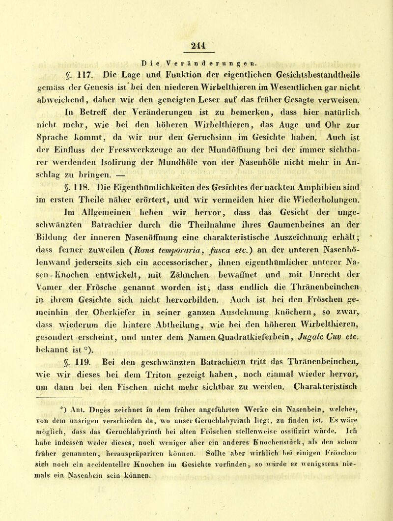 DieVeränderungen. §. 117. Die Lage und Funktion der eigentlichen Gesichtsbestandtheile gemäss der Genesis ist bei den niederen Wirbelthieren im Wesentlichen gar nicht abweichend, daher wir den geneigten Leser auf das früher Gesagte verweisen. In Betreff der Veränderungen ist zu bemerken, dass hier natürlich nicht mehr, wie bei den hölieren Wirbelthieren, das Auge und Ohr zur Sprache kommt, da wir nur den Geruchsinn im Gesichte haben. Auch ist der Einfluss der Fresswerkzeuge an der MundöfFnung bei der immer sichtba- rer werdenden Isolirung der Mundhöle von der Nasenhöle nicht mehr in An- schlag zu bringen, — §. 118. Die Eigenthümlichkeiten des Gesichtes der nackten Amphibien sind im ersten Theile näher erörtert, und wir vermeiden hier die Wiederholungen. Im Allgemeinen heben wir hervor, dass das Gesicht der unge- schwänzten Batrachier durch die Theilnahme ihres Gaumenbeines an der Bildung der inneren NasenölFnung eine charakteristische Auszeichnung erhält; dass ferner zuweilen {Rana temporaria, fusca etc.) an der unteren Nasenliö- lenwand jederseits sich ein accessorischer, ihnen eigenthümlicher unterer Na- sen-Knochen entwickelt, mit Zähnchen bewaffnet und mit Unrecht der Vomer der Frösche genannt worden ist; dass endlich die Thränenbeinchen in ihrem Gesichte sich nicht hervorbilden. Auch ist bei den Fröschen ge- meinhin der Oberkiefer in seiner ganzen Ausdehnung knöchern, so zwar^ dass wiederum die hintere Abtheilung, wie bei den höheren Wirbelthieren, gesondert erscheint , und unter dem JXamen Quadratliieferbein, Jugale Cuv e^c. bekannt ist %. 119. Bei den geschwänzten Batrachiern tritt das Thränenbeinchen^ wie wir dieses bei dem Triton gezeigt haben, noch einmal wieder hervor, um dann bei den Fischen nicht mehr sichtbar zu werden. Charakteristisch *) Ant. Duges zeicünet in dem früher angeführten Werlte ein Nasenbein, welches, von dem unsrigen verschieden da, wo unser Geruchlabyrinth liegt, zu finden ist. Es wäre möglich, dass das Geruchlabyrinth bei alten Fröschen stellenweise ossifizirt -würde. Ich habe indessen weder dieses, noch weniger aber ein anderes Knochenstöck, als den schon früher genannten, herauspräpariren können. Sollte aber wirklich bei einigen Fröschen sieh noch ein accidenteller Knochen im G&sichte vorfinden, so Avürde ei* wenigstens nie- mals eia. Nasenbein sein können«.