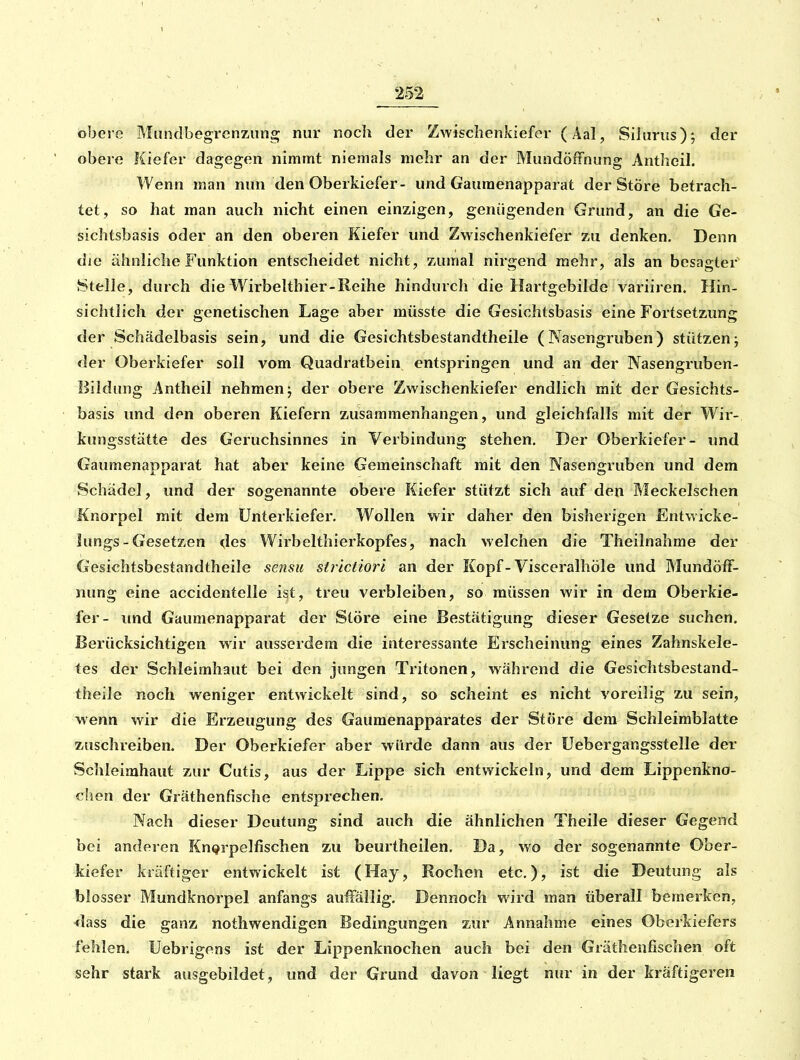 obere Miindbegrenzung nur noch der Zwischenkiefer (Aal, Siiurus); der obere Kiefer dagegen nimmt niemals mehr an der MundöfFnung Antheih Wenn man nun den Oberkiefer- und Gauraenapparat der Store betrach- tet, so hat man auch nicht einen einzigen, genügenden Grund, an die Ge- sichtsbasis oder an den oberen Kiefer und Zwischenkiefer zu denken. Denn die ähnliche Funktion entscheidet nicht, zumal nirgend mehr, als an besagter' (Stelle, durch die Wirbelthier-Reihe hindurch die Hartgebilde variiren. Hin- sichtlich der genetischen Lage aber müsste die Gesichtsbasis eine Fortsetzung der Schädelbasis sein, und die Gesichtsbestandtheile (Nasengruben) stützenj der Oberkiefer soll vom Quadratbein entspringen und an der Nasengruben- Bildung Antheil nehmen j der obere Zwischenkiefer endlich mit der Gesichts- basis und den oberen Kiefern zusammenhangen, und gleichfalls mit der Wir- kungsstätte des Geruchsinnes in Verbindung stehen. Der Oberkiefer- und Gaumenapparat hat aber keine Gemeinschaft mit den Nasengruben und dem Schädel, und der sogenannte obere Kiefer stützt sich auf den Meckelschen Knorpel mit dem Unterkiefer. Wollen wir daher den bisherigen Entwicke- lungs - Gesetzen des Wirbelthierkopfes, nach welchen die Theilnahme der Gesichtsbestandtheile sensu strictiori an der Kopf-VisceralhÖle und Mundöff- nung eine accidentelle ist, treu verbleiben, so müssen wir in dem Oberkie- fer- und Gaumenapparat der Störe eine Bestätigung dieser Gesetze suchen. Berücksichtigen w^'r ausserdem die interessante Erscheinung eines Zahnskele- tes der Schleimhaut bei den jungen Tritonen, während die Gesichtsbestand- theile noch weniger entwickelt sind, so scheint es nicht voreilig zu sein, wenn wir die Erzeugung des Gaumenapparates der Störe dem Schleimblatte zuschreiben. Der Oberkiefer aber würde dann aus der üebergangsstelle der Schleimhaut zur Cutis, aus der Lippe sich entwickeln, und dem Lippenkno- chen der Gräthenfische entsprechen. Nach dieser Deutung sind auch die ähnlichen Theile dieser Gegend bei anderen Knorpelfischen zu beurtheilen. Da, wo der sogenannte Ober- kiefer kräftiger entwickelt ist (Hay, Rochen etc.), ist die Deutung als blosser Mundknorpel anfangs auffällig. Dennoch wird man überall bemerken, <lass die ganz nothwendigen Bedingungen zur Annahme eines Oberkiefers fehlen. Uebrigens ist der Lippenknochen auch bei den Gräthenfischen oft sehr stark ausgebildet, und der Grund davon liegt nur in der kräftigeren