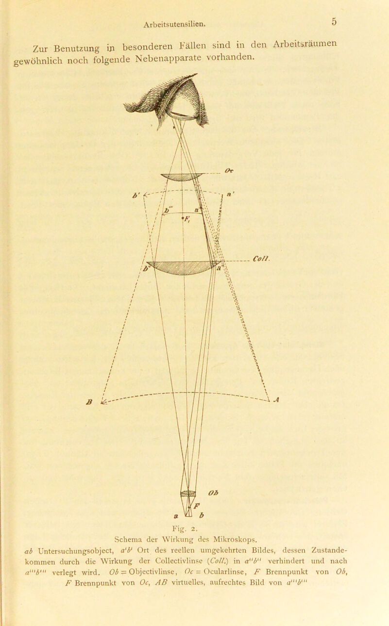 Arbeitsutensilien. Zur Benutzung ip besonderen Fallen sind in den Arbeitsraumen gewohnlich noch folgende Nebenapparate vorhanden. Fig. 2. Schema der Wirkung des Mikroskops. ab Untersucliungsobject, a'b' Ort des reellen umgekehrten Bildes, dessen Zustande- kommen durch die Wirkung der Collectivlinse {Coll.) in a“b verhindert und nach a‘“b‘ verlegt wird. Ob — Objectivlinse, Oc = Ocularlinse, F Brennpunkt von Ob, F Brennpunkt von Oc, AB virtuelles, aufrechtes Bild von a‘“b“‘