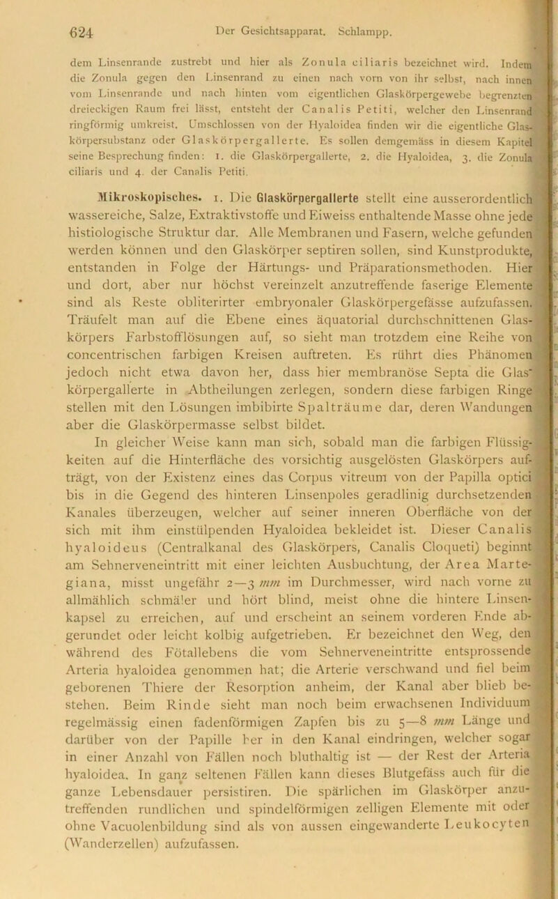 • dem Linsenrande zustrebt und hier als Zonula eiliaris bezeichnet wird. Indem ' die Zonula gegen den Linsenrand zu einen nach vorn von ihr selbsf, nach innen vom Linsenrande und nach hinten votn eigentlichen Glaskorpergewebe begrenzten dreieckigen Raum frei lhsst, entsteht der Canalis Petiti, welcher den Linsenrand^) ringformig umkreist. Umschlossen von der Hyaloidea finden wir die eigentliche GlasLj korpersubstanz oder G1 ask6rpergallerte. Es sollen demgemass in diesera Kapitel seine Besprechung finden: i. die Glaskorpergallerte, 2. die Hyaloidea, 3. die Zonula eiliaris und 4. der Canalis Petiti. Mikroskopisches. 1. Die Glaskorpergallerte stellt eine ausserordentlich ' wassereiche, Salze, Extraktivstoffe undEiweiss enthaltende Masse obne jede histiologische Struktur dar. Alle Membranen und Fasern, welche gefunden * werden konnen und den Glaskorper septiren sollen, sind Kunstprodukte,! entstanden in Folge der Hartungs- und Praparationsmethoden. Hier und doit, aber nur hochst vereinzelt anzutreffende faserige Elemente sind als Reste obliterirter embryonaler Glaskorpergefasse aufzufassen. : Traufelt man auf die Ebene eines aquatorial durchschnittenen Glas-1 korpers Farbstofflosungen auf, so sieht man trotzdem eine Reihe von % concentrischen farbigen Kreisen auftreten. Es riihrt dies Phanomen jedoch nicht etwa davon her, dass hier membranose Septa die Glas'J korpergallerte in Abtheilungen zerlegen, sondern diese farbigen Ringe stellen mit den Losungen imbibirte Spaltraume dar, deren Wandungen aber die Glaskorpermasse selbst bildet. In gleicher Weise kann man sirh, sobald man die farbigen Fltissig- j keiten auf die Hinterflache des vorsichtig ausgelosten Glaskorpers auf- £ tragt, von der Existenz eines das Corpus vitreum von der Papilla opticil bis in die Gegend des hinteren Linsenpoles geradlinig durchsetzenden | Kanales tiberzeugen, welcher auf seiner inneren Oberflache von der sich mit ihm einstiilpenden Hyaloidea bekleidet ist. Dieser Canalis 1 hyaloideus (Centralkanal des Glaskorpers, Canalis Cloqueti) beginnt | am Sehnerveneintritt mit einer leichten Ausbuchtung, der Area Marte-1 giana, misst ungefahr 2—3 mm im Durchmesser, wird nach vorne zul allmahlich schmaler und hdrt blind, meist olme die hintere Linsen-1 kapsel zu erreichen, auf und erscheint an seinem vorderen Elide ab-| gerundet oder leicht kolbig aufgetrieben. Fir bezeichnet den Weg, den | wahrend des Fotallebens die vom Sehnerveneintritte entsprossende 1 Arteria hyaloidea genommen hat; die Arterie verschwand und fiel beim 9 geborenen Thiere der Resor|>tion anheim, der Kanal aber blieb be-a stehen. Beim Rinde sieht man noch beim erwachsenen Individuuni I regelmassig einen fadenformigen Zapfen bis zu 5—8 mm Lange undl daruber von der Pajiille her in den Kanal eindringen, welcher sogar 1 in einer Anzahl von Fallen noch bluthaltig ist — der Rest der Arteria ,|j hyaloidea. In ganz seltenen F'allen kann dieses Blutgefass aucli fiir die ganze Lebensdauer iiersistiren. Die sparlichen im Glaskorper anzti- “I treffenden rundlichen und spindelformigen zelligen Elemente mit oder : ohne Vacuolenbildung sind als von aussen eingewanderte Leukocyten (Wanderzellen) aufzufassen.