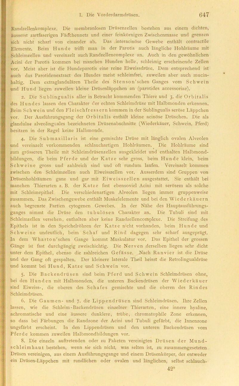 Randzellenkomplexe. Die membranlosen Driisenzellen bestehen aus einem dichten, gusserst zartfaserigen FiicTchennetz und einer feinkornigen Zwischenmasse und grenzen sich nicht schari von einander ab. Das interacinose Gevvebe enthalt contractile Elemente. Beim Hunde trifft man in der Parotis auch liingliche Hohlraume mit Schleimzellen und vereinzelt auch Randzellencomplexe an. Auch in den gewohnlichen Acini der Parotis kommen bei manchen Hunden helle, schleimig erscheinende Zellen vor. Meist aber ist die Hundeparotis eine reine Eiweissdriise. Dem entsprechend ist auch das Parotidenextract des Hundes meist schleimfrei, zuweilen aber auch mucin- haltig. Dem extraglandularen Theile des Stenson’schen Ganges vom Schwein und Hund liegen zuweilen kleine Driisenlrippchen an (parotides accessoriae). 2. Die Sublingualis aller in Betracht kommenden Thiere und 3. die Orbitalis des Hundes lassen den Charakter der echten Schleimdriise mit Halbmonden erkennen. Beim Schwein und den Fleischfressern kommen in der Sublingualis serose Lappchen vor. Der Ausflihrungsgang der Orbitalis enthalt kleine acinose Driischen. Die als glandulae alveolinguales bezeichneten Driisenabschnitte (Wiederkauer, Schwein, Pferd) besitzen in der Regel keine Halbmonde. 4. Die Submaxillaris ist eine gemischte Druse mit langlicli ovalen Alveolen und vereinzelt vorkommenden schlauchartigen Hohlriiumen. Die Hohlraume sind zum grosseren Theile mit Schleimdriisenzellen ausgekleidet und entlialten Halbmond- bildungen, die beim Pferde und der Katze sehr gross, beim Hunde klein, beim Schweine gross und zahlreich sind und oft rundum laufen. Vereinzelt kommen zwischen den Schleimzellen auch Eiweisszellen vor. Ausserdem sind Gruppen von Driisenhohlraumen ganz und gar mit Eiweisszellen ausgestattet. Sie enthalt bei manchen Thierarten z. B. der Katze fast ebensoviel Acini mit serosem als solche mit Schleimepithel Die verschiedenartigen Alveolen liegen immer gruppenweise zusammen. Das Zwischengewebe enthalt Muskelelemcnte und bei den Wiederkauern auch begrenzte Partien cytogenen Gewebes. In der Nahe des Hauptausfiihrungs- ganges nimmt die Druse den tubulosen Charakter an. Die Tubuli sind mit Schleimzellen versehen, enthalten aber keine Randzellencomplexe. Die Streifung des Epithels ist in den Speichelrohren der Katze n;cht vorhanden, beim Hunde und Schweine undeutlich, beim Schaf und Rind dagegen sehr scharf ausgepragt. In dem Wharton’schen Gange kommt Muskulatur vor. Das Epithel der grossen Giinge ist fast durchghngig zweischichtig. Die Nerven derselben liegen sehr dicht unter dem Epithel, ebenso die zahlreichen Gefasse. Nach Ran vie r ist die Drtise und der Gang oft gespalten. Der kleinere laterale Theil heisst die Retrolingualdriise und kommt bei Hund, Katze und Schwein vor. 5. Die Backendrit sen sind beim Pferd und Schwein Schleimdrtisen ohne, bei den Hunden mit Halbmonden, die unteren Backendriisen der Wiederkauer sind Eiweiss-, die oberen des Schafes gemischte und die oberen des Rindes Schleirndriisen. 6. Die Gaumen- und 7. die Lippendriisen sind Schleirndriisen. Hire Zellen lassen, wie die Schleim-Backendriisen einzelner Thierarten, eine innere hyaline, achromatische und eine aussere dunklere, triibe, chromatophile Zone erkennen, so dass bei Farbungen die Randzone der Acini und Tubuli gefhrbt, die Innenzone ungefarbt erscheint. In den Lippendriisen und den unteren Backendriisen vom Pferde kommen zuweilen Halbmondbildungen vor. 8. Die einzeln auftretenden oder zu Paketen vereinigten Driisen der Mund- sckleimhaut bestehen, wenn sie sich nicht, was selten ist, zu zusammengesetzten Driisen vereinigen, aus einem Ausfiihrungsgange und einem Driisenkorper, der entweder ein Drtisen-Lappclien mit rundlichen oder ovalen und liinglichen, selbst schlauch- 42*