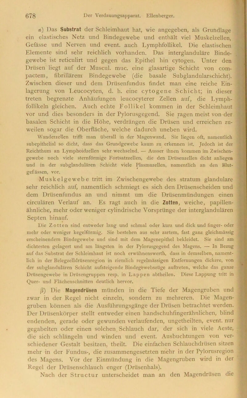 a) Das Substrat der Schleimhaut hat, wie angegeben, als Grundlage ein elastisches Netz und Bindegewebe und enthalt viel Muskelzellen, Gefasse und Nerven und event, auch Lymphfollikel. Die elastischen Elemente sind sebr reichlich vorhanden. Das interglandulare Binde- gewebe ist reticulirt und gegen das Epithel bin cytogen. Unter den Drtisen liegt auf der Muscul. muc. eine glasartige Schicht von com- pactem, fibrillarem Bindegewebe (die basale Subglandularschicht). Zwischen dieser und dem Driisenfundus findet man eine reiche Ein- lagerung von Leucocyten, d. h. eine cytogene Schicht; in dieser treten begrenzte Anhaufungen leucocyterer Zellen auf, die Lymph- follikeln gleichen. Auch echte Follikel kommen in der Schleimhaut vor und dies besonders in der Pylorusgegend. Sie ragen meist von der basalen Schicht in die Hohe, verdrangen die Driisen und erreichen zu- weilen sogar die Oberflache, welche dadurch uneben wird. Wanderzellen trifft man iiberall in der Magenwand. Sie liegen oft, namentlich subepithelial so dicht, dass das Grundgewebe kaum zu erkennen ist. Jedoch ist der Reichthum an Lymphoidzellen sehr wechselnd. — Ausser ihnen kommen im Zwischen- gewebe noch viele sternformige Fortsatzzellen, die den Drlisenzellen dicht anliegen und in der subglandularen Schicht viele Plasmuzellen, namentlich an den Blut- gefiissen, vor. Muskelgewebe tritt im Zwischengewebe des stratum glandulare sehr reichlich auf, namentlich schmiegt es sich den Drtisenscheiden und dem Driisenfundus an und nimmt um die Driisenmiindungen einen circularen Verlauf an. Es ragt auch in die Zotten, weiche, papillen- ahnliche, mehr oder weniger cylindrische Vorspriinge der interglandularen Septen hinauf. Die Zotten sind entweder lang und schmal oder kurz und dick und finger- oder mehr oder weniger kegelformig. Sie bestehen aus sehr zartem, fast ganz gleichmassig erschcinendem Bindegewebe und sind mit dem Magenepithel bekleidet. Sie sind am dichtesten gelagert und am langsten in der Pylorusgegend des Magens. — In Bezug auf das Substrat der Schleimhaut ist noch erwahnenswerth, dass in demselben, nament- lich in der Belegzelldrtisenregion in ziemlich regelmiissigen Entfemungen dickere, von der subglandularen Schicht aufsteigende Bindeg'ewebsziige auftreten, welche das ganze Drilsengewebe in Drtisengruppen resp. in Lap pen abtheilen. Diese Lappung tritt in Quer- und Flachenschnitten deutlich hervor. j3) Die Magendriisen miinden in die Tiefe der Magengruben und zwar in der Regel nicht einzeln, sondern zu mehreren. Die Magen- gruben konnen als die Ausfiihrungsgange der Driisen betraclitet werden. Der Driisenkorper stellt entweder einen handschuhfingerahnlichen, blind endenden, gerade oder gewunden verlaufenden, ungetheilten, event, nur gegabelten oder einen solchen Schlauch dar, der sich in viele Aeste, die sich schliingeln und winden und event. Ausbuchtungen von ver- schiedener Gestalt besitzen, theilt. Die einfachen Schlauchdiilsen sitzen mehr in der Fundus-, die zusammengesetzten mehr in der Pylorusregion des Magens. Vor der Einmiindung in die Magengruben wird in der Regel der Driisenschlauch enger (Driisenhals). Nach der Structur unterscheidet man an den Magendriisen die