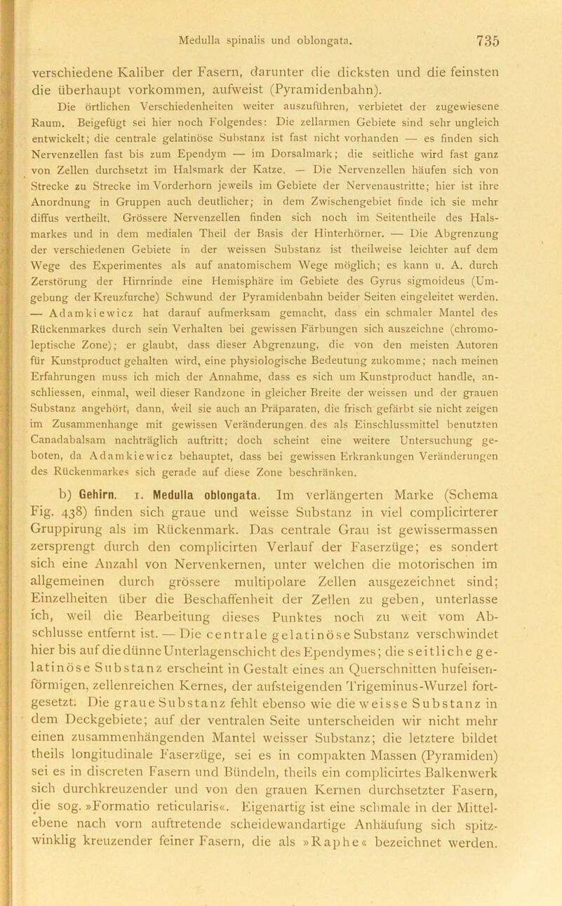 verschiedene Kaliber der Fasern, darunter die dicksten und die feinsten die liberhaupt vorkommen, aufweist (Pyramidenbahn). Die ortlichen Verschiedenheiten weiter auszufilhren, verbietet der zugewiesene Raum. Beigeftigt sei hier nocli Folgendes: Die zellarmen Gebiete sind sehr ungleich entwickelt; die centrale gelatinose Suhstanz ist fast nicht vorhanden — es finden sich Nervenzellen fast bis zum Ependym — im Dorsalmark; die seitliclie wird fast ganz von Zellen durchsetzt im Halsmark der Katze. — Die Nervenzellen haufen sich von Strecke zu Strecke im Vorderhorn jeweils im Gebiete der Nervenaustritte; hier ist ihre Anordnung in Gruppen auch deutlicher; in dem Zwischengebiet finde ich sie mehr diffus vertheilt. Grossere Nervenzellen finden sich noch im Seitentheile des Hals- markes und in dem medialen Theil der Basis der Hinterhorner. — Die Abgrenzung der verschiedenen Gebiete in der weissen Substanz ist theilweise leichter auf dem Wege des Experimentes als auf anatomischem Wege moglich; es kann u. A. durch Zerstorung der Hirnrinde eine Hemisphere im Gebiete des Gyrus sigmoideus (Um- gebung der Kreuzfurche) Schwund der Pyramidenbahn beider Seiten eingeleitet werden. — Adamkiewicz hat darauf aufmerksam gemacht, dass ein schmaler Mantel des RUckenmarkes durch sein Verhalten bei gewissen Farbungen sich auszeichne (chromo- leptische Zone); er glaubt, dass dieser Abgrenzung, die von den meisten Atitoren ftir Kunstproduct gehalten wird, eine physiologische Bedeutung zukomine; nach meinen Erfahrungen muss ich mich der Annahme, dass es sich um Kunstproduct handle, an- schliessen, einmal, weil dieser Randzone in gleicher Breite der weissen und der grauen Substanz angehort, dann, weil sie auch an Praparaten, die frisch gefarbt sie nicht zeigen im Zusammenhange mit gewissen Veranderungen des als Einschlussmittel benutzten Canadabalsam nachtraglich auftritt; doch scheint eine weitere Untersuchung ge- boten, da Adamkiewicz behauptet, dass bei gewissen Erkrankungen Veranderungen des Riickenmarkes sich gerade auf diese Zone beschriinken. b) Gehirn. i. Medulla oblongata. Im verlangerten Marke (Schema Fig. 438) finden sich graue und weisse Substanz in viel complicirterer Gruppirung als im Rtickenmark. Das centrale Grau ist gewissermassen zersprengt durch den complicirten Verlauf der Faserziige; es sondert sich eine Anzahl von Nervenkernen, unter welchen die motorischen im allgemeinen durch grossere multipolare Zellen ausgezeichnet sind; Einzelheiten fiber die Beschaffenheit der Zellen zu geben, unterlasse ich, weil die Bearbeitung dieses Punktes noch zu weit vom Ab- schlusse entfernt ist. — Die centrale gelatinose Substanz verschwindet hier bis aufdiedfinneUnterlagenschicht desEpendymes; dieseitliche ge- latinose Substanz erscheint in Gestalt eines an Querschnitten hufeisen- formigen, zellenreichen Kernes, der aufsteigenden Trigeminus-Wurzel fort- gesetzt. Die graue Substanz fehlt ebenso wie die weisse Substanz in dem Deckgebiete; auf der ventralen Seite unterscheiden wir nicht mehr einen zusammenhangenden Mantel weisser Substanz; die letztere bildet theils longitudinale Faserziige, sei es in compakten Massen (Pyramiden) sei es in discreten Fasern und Bfindeln, theils ein complicirtes Balkenwerk sich durchkreuzender und von den grauen Kernen durchsetzter Fasern, die sog. »Formatio reticularis«. Eigenartig ist eine schmale in der Mittel- ebene nach vom auftretende scheidewandartige Anhaufung sich spitz- winklig kreuzender feiner Fasern, die als »Raphe« bezeichnet werden.