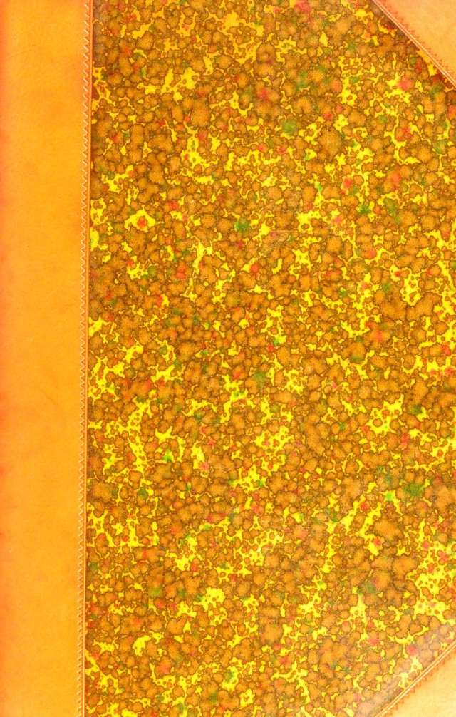 digitised image 1