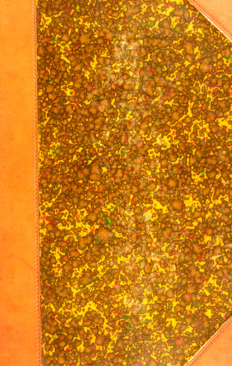 No text description is available for this image