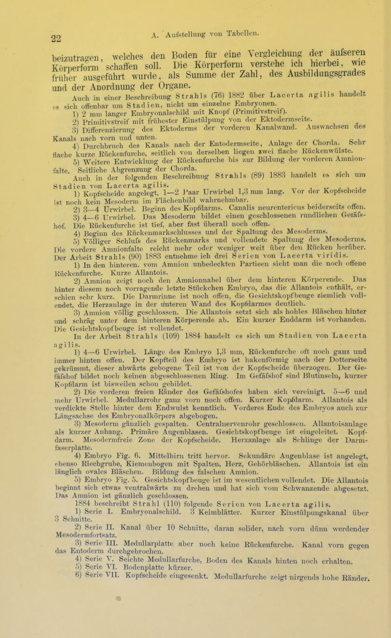 beizutraoen, welches (len Borten fllr eine Vergleielumg rter aufseren Körperfom schallen soll. Die Körperform verstehe ich hierbei, wie früher ausgeführt wurde, als Summe der Zahl, des Ausbildungsgrades und der Anordnung der Organe. Auch in einer Beschreibung Strahls (76) 1882 über Lacerta agilis handelt es .sich offenbar um Stadien, nicht um einzelne Embryonen. 1) 2 mm langer Embryonalschild mit Knopf (Pnmitiv.streit). 2) Primitivstreif mit frühester Einstülpung von der Ektodermseite. 3) Differenzierung des Ektoderms der vorderen Kanahvand. Auswachsen des Kanals nach vorn und unten. . ^ , .. i i i 4) Durchbruch des Kanals nach der Entodermseite, Anlage der Chorda. Sehr flache kurze Kückentürche, seitlich von derselben liegen zwei flache Kückenwulste. 5) Weitere Entwicklung der Kückenfurche bis zur Bildung der vorderen Amnion- ffllte Seitliche Abfirrenzung der Cliorda. * Auch in der folgenden Be.schreibung Strahls (89) 1883 handelt es sich um Stadien von Lacerta agilis. , ..t i ir c i • i 1) Kopfscheide angelegt, 1—2 Paar Urwirbel 1,3 mm lang. ^ or der Kopfscheide ist noch kein Mesoderm im Flächenbild wahrnehmbar. ^ _ 2) 3—4 Unvirbel. Beginn des Kopfdarms. Canalis neurentericus beiderseits offen. 3) 4 0 xjnvirbel. DfTs Mesoderm bildet einen geschlossenen rundlichen Getäfs- hof. Die Kückenfurche ist tief, aber fast überall noch offen. 4) Beginn des Rückenmarkschlusses und der Spaltung des Mesoderms. 5) Völliger Schlufs des Rückenmarks und vollendete Spaltung des Mesoderms. Die vordere Amnionfalte reicht mehr oder weniger weit über den Kücken herüber. Der Arbeit Strahls (90) 1883 entnehmeich drei Serien von Lacerta viridis. 1) In den hinteren, vom Amnion unbedeckten Partieen sieht man die noch offene Kückenfurche. Kurze Allantois. 2) Amnion zeigt noch den Amnionnabel über dem hinteren Körperende. Das hinter diesem noch vorragende letzte Stückchen Embrj'o, das die Allantois enthält, er- schien sehr kurz. Die Darmrinne ist noch offen, die Gesichtskopfbeiige ziemlich voll- endet, die Herzanlage in der itnteren Wand des Kopfdarraes deutlich. 3) Amnion völlig geschlossen. Die Allantois setzt sich als hohles Bläschen hinter und schräg unter dem hinteren Körperende ab. Ein kurzer Enddarm ist vorhanden. Die Gesichtskopfbeuge ist vollendet. In der Arbeit Strahls (109) 1884 handelt cs .sich um Stadien von Lacerta agilis. 1) 4—6 Urwirbel. Länge des Embiyo 1,3 mm, Rückenfurche oft noch ganz und immer hinten offen. Der Kopfteil des Embryo ist hakenförmig nach der Dotterseite gekrümmt, dieser abwärts gebogene Teil ist von der Kopfscheide überzogen. Der Ge- fäfshof bildet noch keinen abgeschlossenen King. Im Gefäfshof sind Blutinseln, kurzer Kopfdarm ist bisAveilen schon gebildet. 2) Die vorderen freien Ränder des Gefäfshofes haben sich vereinigt, ly—6 und mehr Urwirbel. Medullarrohr ganz Amrn noch offen. Kurzer Kojffdarm. Allantois als verdickte Stelle hinter dem Endwulst kenntlich. Vorderes Ende des Embryos auch zur Längsachse des Embryonalkörpers abgebogen. .3) Mesoderm gänzlich gespalten. Centrainervenrohr geschlossen. Allantoisanlage als kurzer Anhang. Primäre Augenblasen. Gesichtskopfbeuge ist eingeleitet. Kopf- darm. Mesodermfreie Zone der Kopfscheide. Herzanlage als Schlinge der Darm- faserplatte. 4) Embryo Fig. 6. Mittelhirn tritt hervor. Sekundäre Augenblase ist angelegt, ebenso Riechgrube, Kiemenbogen mit Spalten, Herz, Gehörbläschen. Allantois i.st ein länglich ovales Bläschen. Bildung des falschen Amnion. 5) Embryo Fig. 5. Gesichtskopf beuge ist im wesentlichen vollendet. Die Allantois beginnt sich eLvas ventrahvärts zu drehen und hat sich vom Schwanzende abgesetzt. Das Amnion ist gänzlich geschlossen. 1884 beschreibt Strahl (110) folgende Se rien von Lacerta agilis. 1) Serie I. Embryonalschild. 3 Keimblätter. Kurzer Einstülpungskanal über 3 Schnitte. 2) Serie II. Kanal über 10 Schnitte, daran solider, nach A’orn dünn Averdender Mesodermfortsatz. 3) Serie III. Medidlarplatte aber noch keine Rückenfurche. Kanal vorn gegen das Entoderm durchgebrochen. 4) Serie ^. Seichte Medullarfurche, Boden des Kanals hinten noch erhalten. .5) Serie VI. Bodenplatte kürzer. 6) Serie VII. Kopfscheide eingesenkt. Medullarfurche zeigt nirgends hohe Ränder.