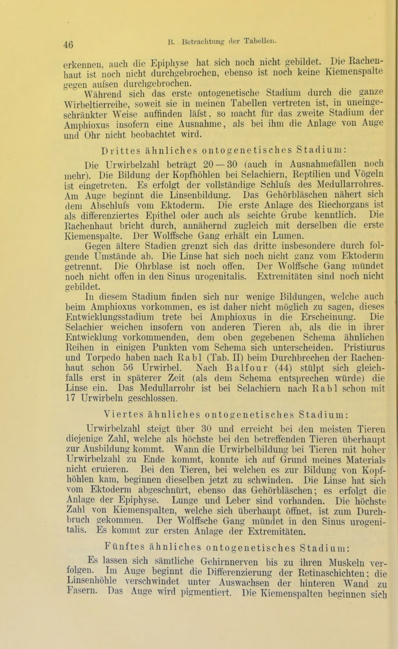 erkennen, auch die Epiphyse hat sich noch nicht gebildet. Die Rachen- haut ist noch nicht durchgebrochen, ebenso ist noch keine Kienienspalte gegen aul'sen durcligebrochen. Während sich das erste ontogenetische Stadium durch die ganze Wirbeltierreihe, soweit sie in meinen Tabellen vertreten ist, in uneinge- schränkter Weise auffinden läfst. so macht für das zweite Stadium der Amphioxus insofern eine Ausnahme, als bei ihm die Anlage von Auge und Ohr nicht beobachtet wird. Drittes ähnliches onto genetisch es Stadium: Die Urwirbelzahl beträgt 20 — 30 (auch in Ausnahmefällen noch mehr). Die Bildung der KopfTiöhlen bei Selachiern, Reptilien und Vögeln ist eingetreten. Es erfolgt der vollständige Schlufs des Medullarrohres. Am Auge beginnt die Linsenbildung. Das Gehörbläschen nähert sich dem Abschlufs vom Ektoderm. Die erste Anlage des Riechorgans ist als differenziertes Epithel oder auch als seichte Grube kenntlich. Die Rachenhaut bricht durch, annähernd zugleich mit derselben die erste Kiemenspalte. Der Wolffsche Gang erhält ein Lumen. Gegen ältere Stadien grenzt sich das dritte insbesondere durch fol- gende Umstände ab. Die Linse hat sich noch nicht ganz vom Ektoderm getrennt. Die Ohrblase ist noch offen. Der Wolffsche Gang mündet noch nicht offen in den Sinus urogenitalis. Extremitäten sind noch nicht gebildet. In diesem Stadium finden sich nur wenige Bildungen, welche auch beim Amphioxus Vorkommen, es ist daher nicht möglich zu sagen, dieses Entwicklungsstadium trete bei Amphioxus in die Erscheinung. Die Selachier weichen insofern von anderen Tieren ab, als die in ihrer Entwicklung vorkonnnenden, dem oben gegebenen Schema ähnlichen Reihen in einigen Punkten vom Schema sich unterscheiden. Pristiurus und Torpedo haben nach Rabl (Tab. II) beim Durchbrechen der Rachen- haut schon 56 Urwirbel. Nach Balfour (44) stülpt sich gleich- falls erst in späterer Zeit (als dem Schema entsprechen würde) die Linse ein. Das Medullarrohr ist bei Selachiern nach Rabl schon mit 17 Urwirbelii geschlossen. Viertes ähnliches onto genetisch es Stadium: Urwirbelzahl steigt über 30 und erreicht bei den meisten Tieren diejenige Zahl, welche als höchste bei den betreffenden Tieren überhaupt zur Ausbildung kommt. Wann die Urwirbelbildung bei Tieren mit hoher Urwirbelzahl zu Ende kommt, konnte ich auf Grund meines Materials nicht eruieren. Bei den Tieren, bei welchen es zur Bildung von Kopf- höhlen kam, beginnen dieselben jetzt zu schwinden. Die Linse hat sich vom Ektoderm abgeschnürt, ebenso das Gehörbläschen; es erfolgt die Anlage der Epiphyse. Lunge und Leber sind vorhanden. Die höchste Zahl von Kiemenspalten, welche sich überhaupt öffnet, ist zum Durch- bruch gekommen. Der Wolffsche Gang mündet in den Sinus urogeni- talis. Es kommt zur ersten Anlage der Extremitäten. Fünftes ähnliches ontogenetisches Stadium: Es lassen sich sämtliche Gehirnnerven bis zu ihren Muskeln ver- folgen. Im Auge beginnt die Differenzierung der Retinaschichten; die Linsenhöhle verschwindet unter Auswachsen der hinteren Wand zu Fasern. Das Auge wird pigmentiert. Die Kiemenspalten beginnen sich