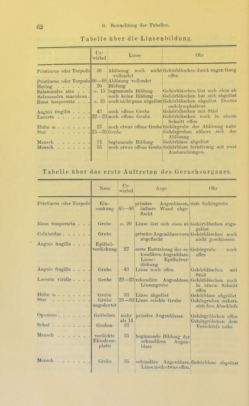 Tabelle über die Linsenbildung. Ur- wirbel Linse Ohr Pristiurus oder Torpedo 56 Ablösung noch nicht vollendet Gehörbläschen durch engen Gang offen Pristiurns oder Torpedo 66-68 Ablösung vollendet Hering 20 Bildung Gehörbläschen löst sich eben ab Salainandra atra . . . c. 15 beginnende Bildung Salaniandra maculosa . noch keine Bildung Gehörbläschen hat sich abgelöst Rana temporaria . . . c. 25 noch nicht ganz ahgelöst Gehörbläschen abgelöst. Ductus endolymphaticus Anguis fragilis .... 43 noch offene Grube Gehörbläschen mit Stiel Lacerta 22—23 noch offene Grube Gehörbläschen noch in einem Schnitt offen Huhn a 27 noch etwas offene Grube Gehörgrube der Ablösung nahe Star Grube Gehörgi-uben nähern sich der Ablösung Mensch 31 beginnende Bildung Gehörblase abgelöst Mensch 35 noch etwas offene Grube Gehörblase bimförmig mit zwei Ausbauchungen. Tabelle über das erste Auftreten des Geruchsorganes. Nase Ur- wirbel Auge Ohr Pristiurus oder Torpedo Ein- primäre Augenblasen, tiefe Gehörgrube » Senkung 45—46 äufsere Wand abge- ffacht Kana temporaria . . . Grube c. 20 Linse löst sich eben ab Gehörbläschen abge- gelöst Colubi’idae Anguis fragilis .... Grube Epithel- 27 primäre Augenblasevorn abgeflacht Gehörbläschen noch nicht geschlossen Anguis fragilis .... Verdickung erste Entstehung der se- kundären Augenblase. Linse: Epithelver- dickung Gehörgrube noch offen Grube 43 Linse noch offen Gehörbläschen mit Stiel Lacerta viridis .... Grube 22—23 sekundäre Augcnblase, Linsengrube Gehörbläscheu noch in einem Schnitt offen Huhn a Grube 33 Linse abgelöst Gehörblase abgelöst Star Grube augedeutet 25-.30 Linse seichte Grube Gehörgruben nähern sieh dem Abschlufs Opossum Grübchen mehr als 14 primäre Augenblaseu Gehörgrübchen offen Gehörgrübchen dem Schat Gruben 37 Verschlufs nahe Mensch verdickte Ektoderm- platte 31 beginnende Bildung der sekundären Augen- blase Mensch Grube 35 sekundäre Augenblase. Linse noch etwas offen. Gehörhlase abgelöst
