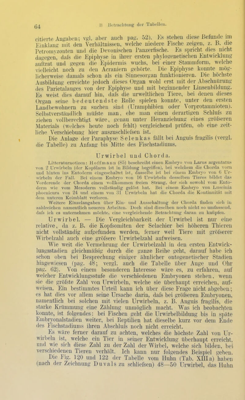 citierte Augabeii; vgl. aber auch pag. 52). Es stehen diese Befunde im Einklang mit den Verhältnissen, welche niedere Fische zeigen, z. B. die retromyzonten und die Devonischen Panzerfische. Es spricht dies nicht diigegen, dafs die Plpiphyse in ihrer ersten phylogenetischen Entwicklung auftrat und gegen die Plpiderniis wuchs, bei einer Staininforin, welche vielleicht noch zu den Acraniern gehörte. Die Epiphyse konnte mög- licherweise damals schon als ein Sinnesorgan funktionieren. Die höchste Ausbildung erreichte jedoch dieses Organ wohl erst mit der Abschnürung des Parietalauges von der Epiphyse und mit beginnender Linsenbildung. Es weist dies darauf hin, dafs die urweltlichen Tiere, bei denen dieses Organ seine bedeutendste Bolle spielen konnte, unter den ersten Landbewohnern zu suchen sind (Uramphibien oder \ori)rotanmioten). Selbstverständlich müfste man, ehe man einen derartigen Schlufs zu ziehen vollbei-echtigt wäre, genau unter Heranziehung eines gröfseren Materials (welches heute noch fehlt) vergleichend prüfen, ob eine zeit- liche Verschiebung hier auszuschliefsen ist. Die Anlage der Paraphyse Selenkas fällt bei Anguis Iragilis (vergl. die Tabelle) zu Anfang bis Mitte des Fischstadiunis. Ur wir bei und Chorda. Litteratiiniotizen: Hot'fmaiin (85) beschreibt einen Embryo von Larus argentatus von 2 Urwirbeln (der Kopfdarm ist in Jiildung begriffen), bei welchem die Chorda vorn und hinten ins Entodcrm eingesclialtet ist, dasselbe ist bei einem Embryo von 0 Ur- wirbeln der Fall. Bei einem Embryo von 16 Urwirbeln desselben Tieres bildet das Vorderende der Chorda einen vollkommen freien Strang, der sich sowohl vom Ento- derm wie vom Mesoderm vollständig gelöst hat. Bei einem Embrym von Luscinia j)hoenicura von 24 und einem von 31 Urwirbeln hat die Chorda die Kontinuität mit dem unteren Keimblatt verloren. Weitere Einzelangaben über Ein- und Ausschaltung der Chorda tinden sich in zahlreichen namentlich neueren Arbeiten. Doch sind dieselben noch nicht so umfassend, dafs ich es unternehmen möchte, eine vergleichende Betrachtung daran zu knüpfen. Ur Wirbel. — Die Vergleichbarkeit der Urwirbel ist nur eine relative, da z. B. die Kopfsomiten der Selachier bei höheren Thieren nicht vollständig aufgefunden werden, ferner weil Tiere mit gröfserer Wirbelzahl auch eine gröfsere Urwirbelzahl aufweisen. Wie weit die Vermehrung der Urwirbelzahl in den ersten Entwick- lungsstadien gleichmäfsig durch die ganze Leihe geht, darauf habe ich schon oben bei Besprechung einiger ähnlicher ontogenetischer Stadien hingewiesen (pag. 48; vergl. auch die Tabelle über Auge und Ohr pag. 62). Von einem besonderen Interesse wäre es, zu erfahren, auf welcher Entwicklungsstufe die verschiedenen Embryonen stehen, wenn sie die gröfste Zahl von Urwirbeln, welche sie überhaupt erreichen, auf- weisen. Ein bestimmtes Urteil kann ich über diese Frage nicht abgeben; es hat dies vor allem seine Ursache darin, dafs bei gröfseren Embryonen, namentlich bei solchen mit vielen Urwirbeln, z. B. Anguis fragilis, die starke Krümmung eine Zählung unmöglich macht. Was ich beobachten konnte, ist folgendes: bei Fischen geht die Urwirbelbildung bis in späte Embryonalstadien weiter, bei Beptilien hat dieselbe kurz vor dem Ende <les Fischstadiums ihren Abschluls noch nicht erreicht. Pis \yäre ferner darauf zu achten, welches die höchste Zahl von Ur- wirbeln ist, welche ein Tier in seiner Entwicklung überhaupt erreicht, und wie sich diese Zahl zu der Zahl der Wirbel, welche sich bilden, bei verschiedenen Tieren verhält. Ich kann nur folgendes Beispiel geben. Die Fig. 1^0 und 122 der Tabelle vom Huhn (Tab. XIIIa)‘haben (nach der Zeichnung Duvals zu schliefsen) 48—50 Urwirbel, das Huhn