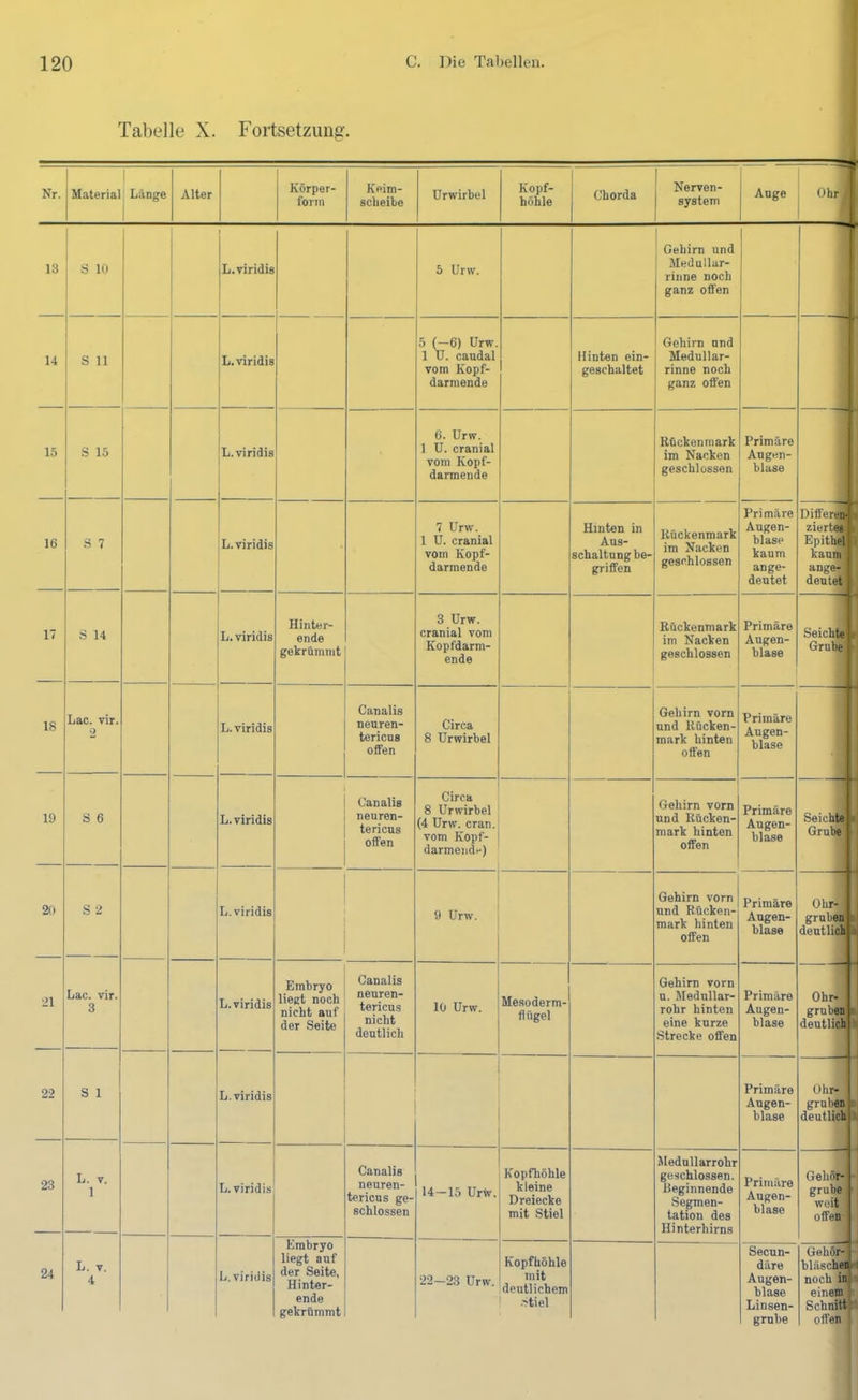 Tabelle X. Fortsetzung. Nr. Material 1 , Länge Alter Körper- form Keim- scbeibe ürwirbel Kopf- höhle Chorda Nerven- system Auge Ohr 13 14 S 10 1 L. viridis 5 Urw. Gehirn und Med ullar- rinne noch ganz offen S 11 L. viridis 5 (—6) Urw. 1 ü. caudal vom Kopf- darmende Hinten ein- geschaltet Gehirn und Medullar- rinne noch ganz offen 15 S 15 L. viridis 6. Urw. 1 U. cranial vom Kopf- darmende Rückenmark im Nacken geschlossen Primäre Augen- blase 16 S 7 L. viridis 7 Urw. 1 U. cranial vom Kopf- darmende Hinten in Aus- schaltung he- griffen Rückenmark im Nacken geschlossen Primäre Augen- blase kaum ange- dentet Differei zierte Epithe kaum anger deutet 17 S 14 L. viridis Hinter- ende gekrümmt 3 Urw. cranial vom Kopfdarm- ende Rückenmark im Nacken geschlossen Primäre Augen- blase Grnb^l 18 Lac. vir. 2 L. viridis Canalis neuren- tericus offen Circa 8 Urwirhel Gehirn vorn und Rücken- mark hinten offen Primäre Augen- blase 1 19 6 L. viridis Canalis neuren- tericus offen Circa 8 Urwirhel (4 Urw. cran. vom Kopf- darmend--) Gehirn vorn und Rücken- mark hinten offen Primäre Augen- blase Grull^l 20 .S 2 L. viridis 9 Urw. Gehirn vorn und Rücken- mark hinten offen Primäre Angen- blase grnbeij 21 Lac. vir. 3 L. viridis Embryo liegt noch nicht auf der Seite Canalis neuren- tericus nicht deutlich 10 Urw. Mesoderm- flügel Gehirn vorn n. Medullar- rohr hinten eine kurze Strecke offen Primäre Augen- blase grübe» deutliolfl 22 S 1 L. viridis Primäre Augen- blase - Ohr- grnben b deutlich 1 23 L. V. 1 L. viridis Canalis neuren- tericus ge- schlossen 14—15 Urw. Kopfhöhle kleine Dreiecke mit Stiel Medullarrohr geschlossen. Beginnende Segmen- tation des Hinterhirns Primäre Augen- blase — Gehört H grübe 1 weit offen- 24 L. V. 4 1 L. viridis Embryo liegt auf der Seite, Hinter- ende gekrümmt 22-23 Urw. Kopfhöhle mit deutlichem .'>tiel Secun- däre Augen- blase Linsen- grnbe Gehör ^ bläsche t noch in* einem^ Schnitt 1 offen