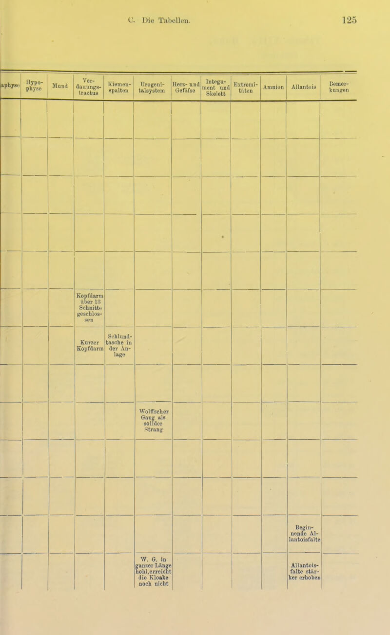 aphysoj Hypo- physe Mund Ver- dauungs- tractus Kieinen- spalten Urogeni- talsystem Herz- nnd Gefiifse Integu- ment und Skelett Extremi- täten Amnion Allantois Bemer- kungen • Kopfdarm über 13 Schnitte geschlos- sen Kurzer Kopfdarm Schlund- tasche in der An- lage Wolffscher Gang als solider Strang Begin- nende Al- lantoisfalte W. G. in ganzer Länge hohl,erreicht die Kloake noch nicht Ällantois- falte stär- ker erhoben
