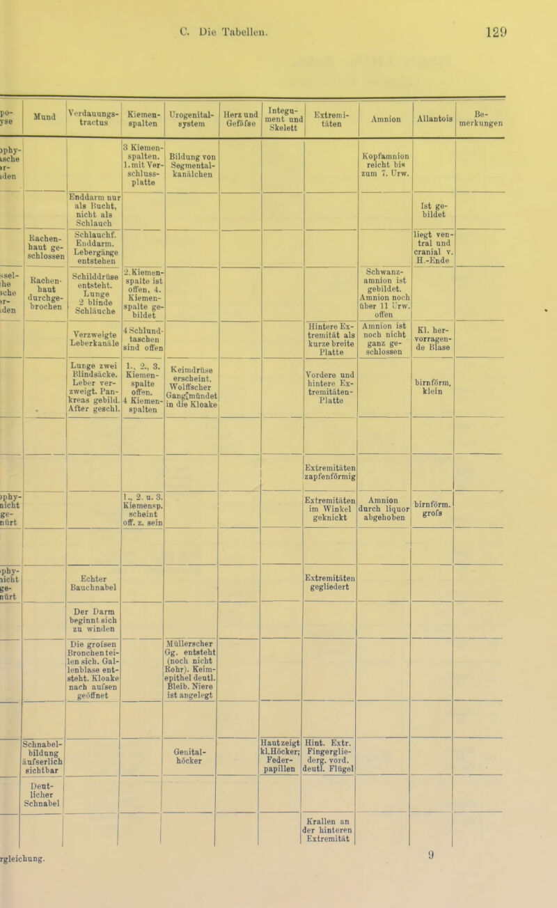 po- yse Mund ' Vordauungs- tractus Kiemen- spalten Urogenital- system Herz und Gefäfse Integu- ment unc Skelett Extremi- täten Amnion Allantois Be- merkungen )phy- ische >r- iden 3 Kiemen- spalten, l.mit Ver- schluss- platte Bildung von Segmental- kanälchen Kopfamnion reicht bis zum 7. Urw. ! Enddarm nur als Rucht, nicht als Schlauch 1 Ist ge- bildet Kachen- 1 haut ge- schlossen i Schlaucht. Enddarm. 1 Lebergänge 1 entstehen i liegt ven- tral und cranial v. H.-Ende ssel- he sehe ir- den Rachen- 1 haut ! durchge- j brochen Schilddrüse entsteht. Lunge 2 blinde I Schläuche 2. Kiemen- spalte ist offen, 4. Kiemen- spalte ge- bildet 1 Schwanz- amnion ist gebildet. Amnion noch über 11 l'rw. offen Verzweigte Leberkanäle 4 Schlund- taschen sind offen Hintere Ex- tremität als kurze breite Platte Amnion ist noch nicht ganz ge- schlossen Kl. her- vorragen- de Blase Lunge zwei Blindsäcke. Leber ver- zweigt. Pan- kreas gebild. After geschl. 1., 2., 3. Kiemen- spalte offen. 4 Kiemen- spalten Keimdrüse erscheint. Wolffscher Ganglmündet in die Kloake Vordere und hintere Ex- tremitäten- Platte birnförm. klein Extremitäten zapfenförmig )phy- oicht ge- Dürt I., 2. n. 3. Kiemensp. scheint off. z. sein Extremitäten im Winkel geknickt Amnion durch liquor abgehoben birnförm. grofs phy- licht ge- nürt Echter Bauchnabel Extremitäten gegliedert Der Dann beginnt sich zu winden Die grofsen Bronchen tei- len sich. Gal- lenblase ent- steht. Kloake nach aufsen geöffnet Müllerseher Gg. entsteht (noch nicht Rohr). Keim- epithel dentl. Bleib.Niere ist angelegt Schnabel- bildung äufserlich sichtbar ! Genital- höcker Haut zeigt kl.Höcker; Feder- papillen 1 Hint. Extr. Fingerglie- derg. Tord. deutl. Flügel Deut- 1 lieber j Schnabel 1 1 1 Krallen an der hinteren Extremität rgleichung. 9