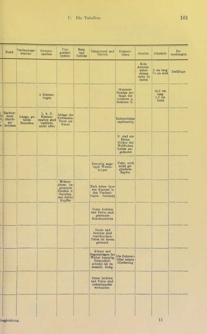 Mund Verdaunngs- tractus Kiemen- spalten Uro- genital- system ! Integument und GemL 1 1 Extremi- täten Amnion Allantois Be- merkungen i- 1. a. Kein Amnion- . nabel- strang mehr zu linden 2 cm lang Vz cm weit Zwillinge 4 Kiemen- hogen Stummel- förmige An- fänge der vorderen u. hinteren E. 14.2 cm lang 1.2 cm breit Rachen- haut dnrch- ge- hrochen Lunge, ge- teilte Bronchen 1. n. 2. Kiemen- spalten sind verklebt, nicht offen Anlage der bleibenden Niere als Kanal Extremitäten zapfenartig E. sind als kleine Höcker der Wolffschen Leiste an- gedeutet Knorplig ange- legte Wirbel- körper Freie, noch nicht ge- gliederte Zapfen Metane- phros, be- ginnende Entsteh, d. Harnkan. (sol.Zellb.) Knplfer Noch keine Spur von Knorpel in den Visceral- bogen. .Salensky Ileum Iscbium und Pubis sind getrennte Knochenstücke Ileum und Iscbium sind verschmolzen. Pubis ist davon getrennt Körper und Bogenanlagen der Wirbel knorplig. Primordial- schädel ist im wesentl. fertig Die Extremi- täten zeigen Gliederung Ileum Iscbium und Pubis sind untereinander verbunden /ergleicliung. 11