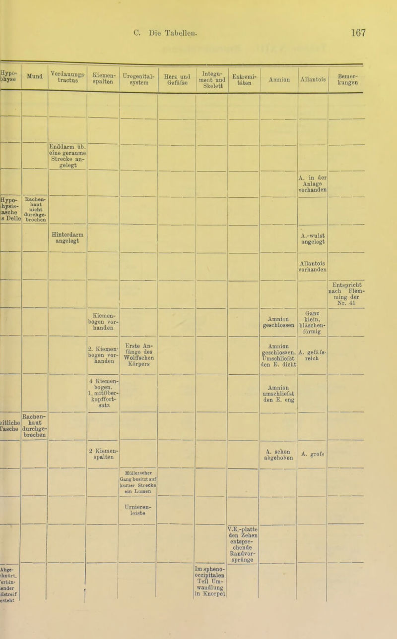 Hypo- Dhyse Mund Verdauungs- tractus Kiemen- spalten Urogenital- system Herz und GeiUfse Integu- ment und Skelett Extremi- täten 1 j Amnion Allantois Bemer- kungen —- Enddarm üb. eine geraume Strecke an- gelegt A. in der Anlage vorhanden aypo- hjsis- asche a Belle Rachen- haut nicht durcbge- brochen Hinterdarm angelegt A.-Wulst angelegt Allantois vorhanden Entspricht nach Flem- ming der Nr. 41 Kiemen- bogen vor- handen Amnion geschlossen Ganz klein, bläschen- förmig 2. Kiemen- bogen vor- handen Erste An- fänge des Wolffschen Körpers Amnion geschlossen. Umschliefst (len E. dicht A. gefilfs- reich 4 Kiemen- bogen. 1. mitOber- kopffort- satz Amnion umschliefst den E. eng eitliche rasche Eachen- baut durchge- brochen 2 Kiemen- spalten A. schon abgehoben A. grofs Müllerscber Gang besitzt auf kurzer Strecke ein Lumen Urnieren- leiste V.E.-platte den Zehen entspre- chende Randvor- sprünge Abgc- hnürt. erbin* ender llatreif e steht 1 Im spheno- occipitalen Teil Um- wandlung m Knorpel