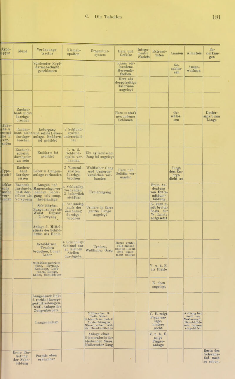 lypo- ipyse Mund Verdauungs- tractus Kiemen- spalten Urogenital- system Herz und Gofäfse Integu- ment u. Skelett E.xtremi- täten Amnion Aliantois Be- merkun- gen Vorderster Kopf- darmabschnitt geschlossen Kaum vor- handene Herzendo- thelien Ge- schlos- sen Ausge- wachsen Herz als doppelseitige Halbrinne angelegt Kaclien- haut nicht durch ge- brochen Herz = stark gewundener Schlauch Ge- schlos sen Dotter- sack 3 mm Länge thke- he u. «ssel- he T. vor- inden Rachen- haut nicht dnrehge- hrochen Lebergang und solide Leber- anlage. Enddarm ist gebildet 2 Scblund- spalten unterscheid- bar Rache nh. scheint durchgebr. zu sein Enddarm ist gebildet 1. u. 2. Schlund- spalte vor- handen Ein cylindrischer (lang ist angelegt lypo- lysis? Raclien- iiaut durchge- rissen Leber u. Lungen- anlage vorhanden 2 Visceral- spalten durchge- brochen Wolffscher Gang und Urnieren- kanälchen vor- handen Herz und Gefäfse vor- handen Liegt dem Em- bryo dicht an ithke- iche »sehe iror- mden Raehenli. durcligebr. Rost der- selben als Vorsprung Lungen und Magenanlagü vor- handen, Leber- gang mit comp. Leberanlage 4 Schlundsp. vorhanden. 3 äufsorlich sichtbar Urnierengang Erste An- deutung von Extre- mitäten- bildung Schilddröse. Zungenanlage als Wulst. Unpaar. Lebergang • 1 Schlundsp. nach der Zeichnung durchge- brochen Urniere in ihrer ganzer Länge angelegt E. kurz u. mit breiter Basis, der W. Leiste aufgesetzt - — — Anlage d. Mittel- stücks der Schild- drüse als Höhle Schilddrüse, Trachea bronchen, Lunge, Leber 4 Schlundsp. Schlund nur an kleinen Stellen durchgebr. Urniere, Wölfischer Gang Herz: ventri- cule encorc unique roreil- Ictte egale- ment uniciuo Milz-Mesogastrium- falte. Thymus. Kelilkopf, Luft- röhre, Lunge, Leber, Öchilddi üse V. u. h. E. als Platte E. eben angelegt 1 Lungensack links •i,rechts3knospi- geAuftreibungen. Deutl. Anlage des Zungenkörpers Luugenanlage Müllerscher (t. bleib. Niere; Schlauch m. mehrf. Ausbuchtungen. Nierenbecken. Anl. der Harnkanillchen V. E. zeigt Fingeran- lage, hintere nicht A.-Gang hat noch vor Verlassen d. Bauchhöhle sein Lumen eingebüfst 1 Anlage eines Glnmerulusin der bleibender. Niere. Müllerscher Gang V. n. h. E. zeigt Finger- anlage Erste Ein- leitung der Zabn- bildung Parotis eben erkennbar • Reste des Schwanz- fad. noch zu sehen.
