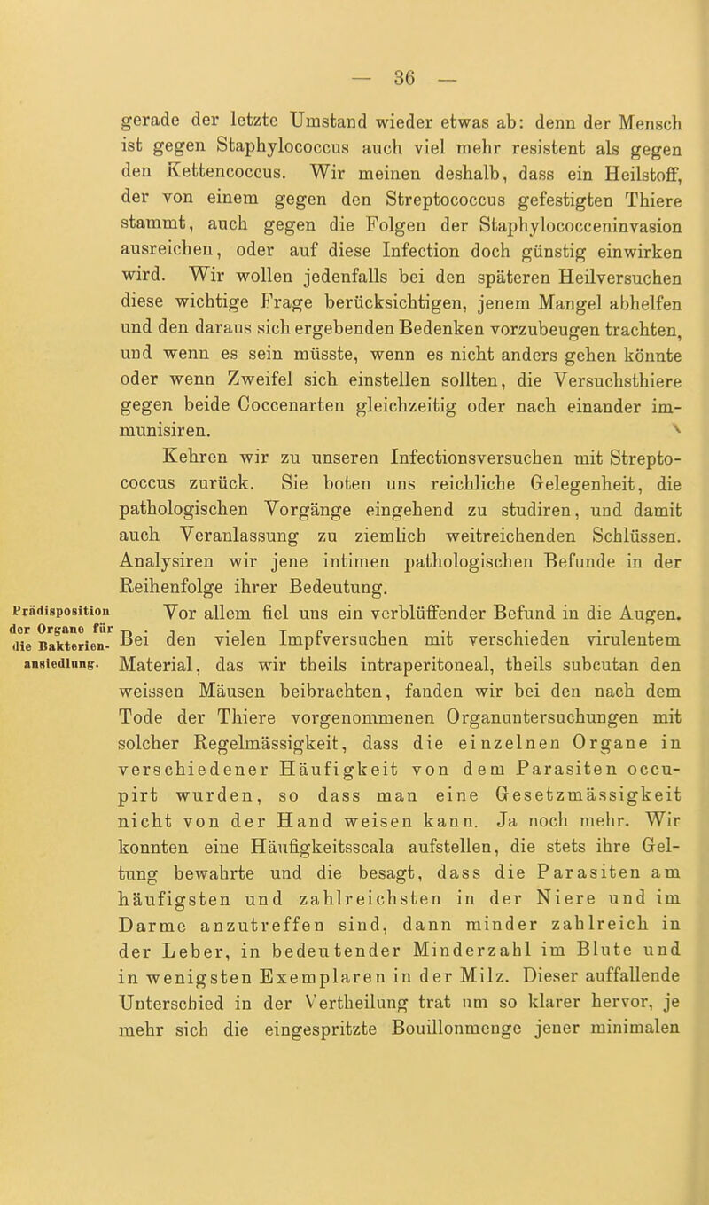 gerade der letzte Umstand wieder etwas ab: denn der Mensch ist gegen Staphylococcus auch viel mehr resistent als gegen den Kettencoccus. Wir meinen deshalb, dass ein Heilstoff, der von einem gegen den Streptococcus gefestigten Thiere stammt, auch gegen die Folgen der Staphylococceninvasion ausreichen, oder auf diese Infection doch günstig einwirken wird. Wir wollen jedenfalls bei den späteren Heilversuchen diese wichtige Frage berücksichtigen, jenem Mangel abhelfen und den daraus sich ergebenden Bedenken vorzubeugen trachten, und wenn es sein müsste, wenn es nicht anders gehen könnte oder wenn Zweifel sich einstellen sollten, die Versuchsthiere gegen beide Coccenarten gleichzeitig oder nach einander ini- munisiren. v Kehren wir zu unseren Infectionsversuchen mit Strepto- coccus zurück. Sie boten uns reichliche Gelegenheit, die pathologischen Vorgänge eingehend zu studiren, und damit auch Veranlassung zu ziemlich weitreichenden Schlüssen. Analysiren wir jene intimen pathologischen Befunde in der Reihenfolge ihrer Bedeutung. Prädisposition Vor allem fiel uns ein verblüffender Befund in die Augen. die Bakterien^ Bei den vielen Impfversuchen mit verschieden virulentem ansiediung. Material, das wir theils intraperitoneal, theils subcutan den weissen Mäusen beibrachten, fanden wir bei den nach dem Tode der Thiere vorgenommenen Organuntersuchungen mit solcher Regelmässigkeit, dass die einzelnen Organe in verschiedener Häufigkeit von dem Parasiten occu- pirt wurden, so dass man eine Gesetzmässigkeit nicht von der Hand weisen kann. Ja noch mehr. Wir konnten eine Häufigkeitsscala aufstellen, die stets ihre Gel- tung bewahrte und die besagt, dass die Parasiten am häufigsten und zahlreichsten in der Niere und im Darme anzutreffen sind, dann minder zahlreich in der Leber, in bedeutender Minderzahl im Blute und in wenigsten Exemplaren in der Milz. Dieser auffallende Unterschied in der Vertheilung trat um so klarer hervor, je mehr sich die eingespritzte Bouillonmenge jener minimalen