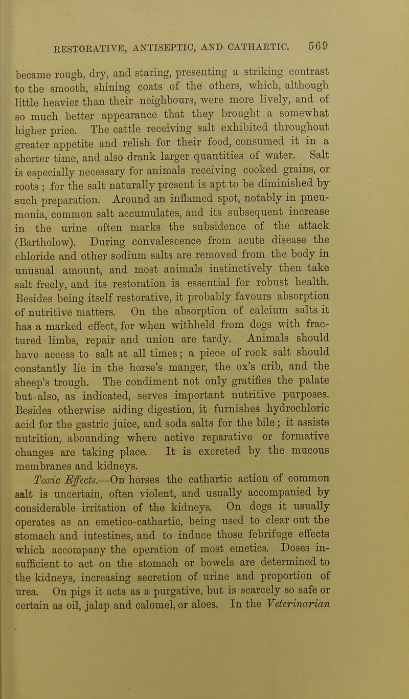 became rough, diy, and staring, presenting a striking contrast to the smooth, shining coats of the others, which, although little heavier than their neighbours, were more lively, and of so mucli better appearance that they brought a somewhat higher price. The cattle receiving salt exhibited throughout greater appetite and relish for their food, consumed it in a shorter time, and also drank larger quantities of water. Salt is especially necessary for animals receiving cooked grains, or roots ; for the salt naturally present is apt to be diminished by such preparation. Around an inflamed spot, notably in pneu- monia, common salt accumulates, and its subsequent increase in the urine often marks the subsidence of the attack (Bartholow). During convalescence from acute disease the chloride and other sodium salts are removed from the body in unusual amount, and most animals instinctively then take salt freely, and its restoration is essential for robust health. Besides being itself restorative, it probably favours absorption of nutritive matters. On the absorption of calcium salts it has a marked effect, for wl^en withheld from dogs with frac- tured limbs, repair and union are tardy. Animals should have access to salt at all times; a piece of rock salt should constantly lie in the horse's manger, the ox's crib, and the .sheep's trough. The condiment not only gratifies the palate but also, as indicated, serves important nutritive purposes. Besides otherwise aiding digestion, it furnishes hydrochloric acid for the gastric juice, and soda salts for the bile; it assists nutrition, abounding where active reparative or formative changes are taking place. It is excreted by the mucous membranes and kidneys. Toxic Effects.—On horses the cathartic action of common salt is uncertain, often violent, and usually accompanied by considerable irritation of the kidneys. On dogs it usually operates as an emetico-cathartic, being used to clear out the stomach and intestines, and to induce those febrifuge effects which accompany the operation of most emetics. Doses in- sufficient to act on the stomach or bowels are determined to the kidneys, increasing secretion of urine and proportion of urea. On pigs it acts as a purgative, but is scarcely so safe or certain as oil, jalap and calomel, or aloes. In the Veterinarian