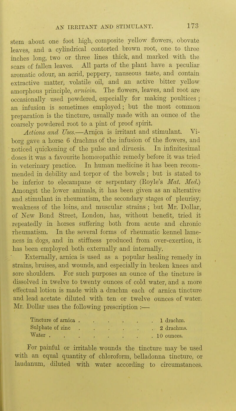 AN IRRITANT AND STIMULANT. stem about one foot high, composite yellow flowers, obovate leaves, and a cylindrical contorted brown root, one to three inches long, two or three lines thick, and marked with the scars of fallen leaves. All parts of the plant have a peculiar aromatic odour, an acrid, peppery, nauseous taste, and contain extractive matter, volatile oil, and an active bitter yellow amorphous principle, arnicin. The flowers, leaves, and root are occasionally used powdered, especially for making poultices ; an infusion is sometimes employed; but the most common preparation is the tincture, usually made with an ounce of the coarsely powdered root to a pint of proof spirit. Actions and Uses.—Arnica is irritant and stimulant. Vi- borg gave a horse 6 drachms of the infusion of the flowers, and noticed quickening of the pulse and diruesis. In infinitesimal doses it was a favourite homoeopathic remedy before it was tried in veterinary practice. In human medicine it has been recom- mended in debility and torpor of the bowels ; but is stated to be inferior to elecampane or serpentary (Eoyle's Mat. Med) Amongst the lower animals, it has been given as an alterative and stimulant in rheumatism, the secondary stages of pleurisy, weakness of the loins, and muscular strains ; but Mr. Dollar, of New Bond Street, London, has, without benefit, tried it repeatedly in horses suffering both from acute and chronic rheumatism. In the several forms of rheumatic kennel lame- ness in dogs, and in stiffness produced from over-exertion, it has been employed both externally and internally. Externally, arnica is used as a popular healing remedy in strains, bruises, and wounds, and especially in broken knees and sore shoulders. For such purposes an ounce of the tincture is dissolved in twelve to twenty ounces of cold water, and a more effectual lotion is made with a drachm each of arnica tincture and lead acetate diluted with ten or twelve ounces of water. Mr. DoUar uses the following prescription :— Tincture of arnica ...... 1 drachm. Sulphate of zinc ...... 2 drachms. Water 10 ounces. For painful or irritable wounds the tincture may be used with an equal quantity of chloroform, belladonna tincture, or laudanum, diluted with water according to cii'cumstances.