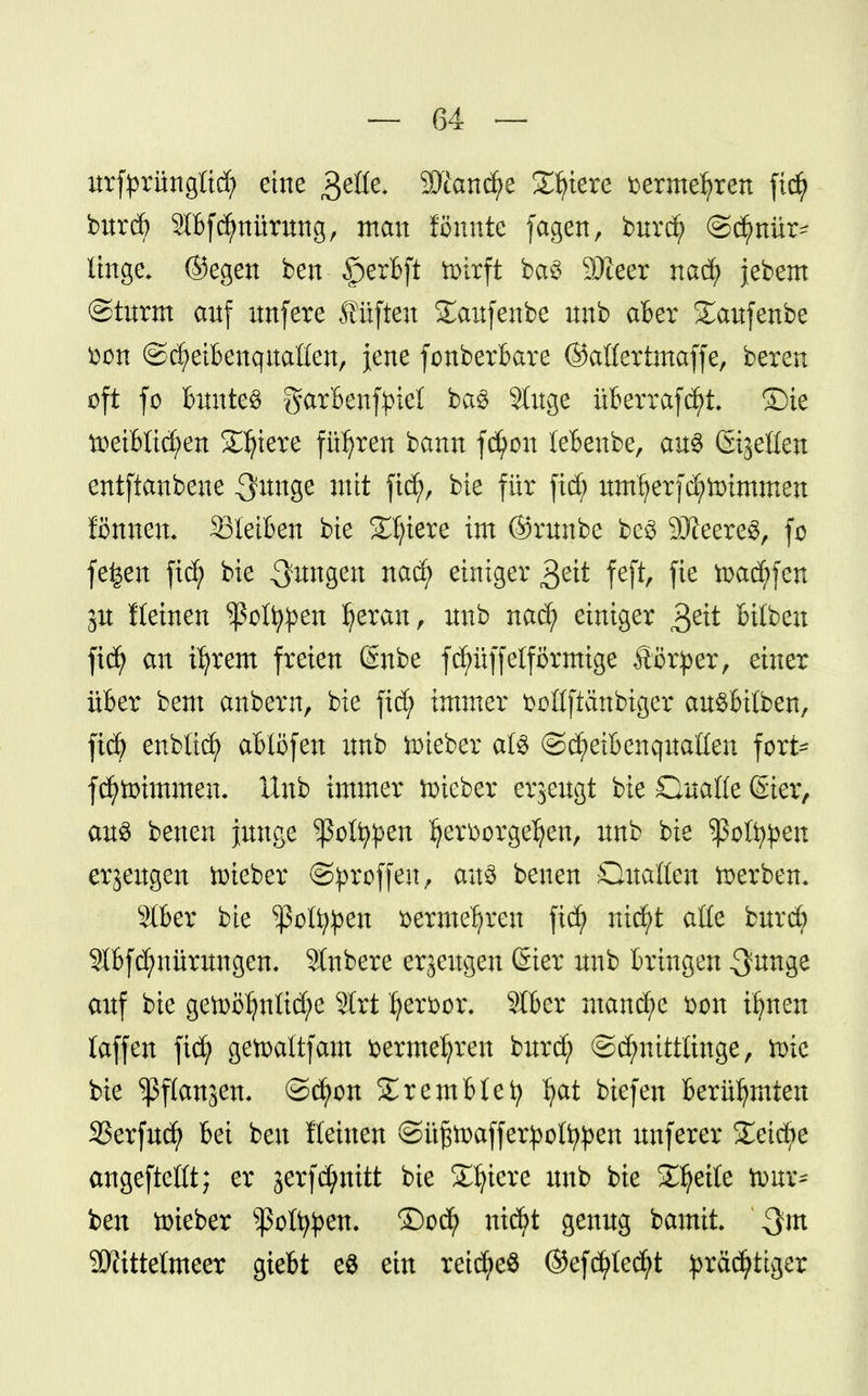 urfyrüngtid) eine ge$fe fflt$ßä)t Spiere t>ermefyren ftdj burd) Stöfcfyttürtmg, mau fönnte fagen, bwcfy ©dimür- finge; ©egen ben $erbft totrft ba3 SJieer nad) jebem ©türm auf unfere Stiften £aufenbe unb aber gaufenbe ^on ©djeibenquallen, jene fonberbare ©aüertmaffe, bereu oft fo buntes garbenfpiet ba£ Singe überrafdjjt. ©ie tr>eiblid;en Spiere führen banu fdj>on lebenbe, au$ (Sijetlen eutftaubeue ^nnge mit ftc^>r bie für fidj) umfyerfd)ti)immen fönnen. Sieiben bie Spiere im ©runbe be3 9Äeere3, fo fe^eu fic^> bie ^ngen nad) einiger $eit feft, fie tixtd)fen in Keinen ^oltypen fyeran, unb nad) einiger £tit bilbeu fid) an iljrem freien ßnbe fc^üffeiförmige Äör^er, einer über bem anbern, bie ftd) immer ücllfianbiger auSbilben, fid) enblid) ablöfen unb lieber afö ©d)eibenquaßen fort* fd)tt>tmmen- Unb immer lieber erzeugt bie Qualle @ier, au$ benen junge ^ßcl^en Verborgenen, unb bie ^oltypen erjeugen lieber ©proffen, ans benen Guaften toerbem Slber bie ^ßoft^en üermefyren fid^ nid)t afle burd? ^bfcfmürungem Slnbere erzeugen 6ier unb bringen -3^3^ auf bie getoöljnüd;>e Strt fyerfcor. Stber manche 'mn i^nen laffen fi(| getoaltfam fcermeljren bttrd; ©d;nittltnge, tote bie ^flanjen. ©djon £remblefy Ijat biefen berühmten 33erfud) bei ben flehten ©üjstoafferpoltypen unferer £eid;e angefteüt; er jerfdjnttt bie SEIjtete unb bie Steile tour- ben lieber sßofypen. ©od) nid)t genug bamii Sfttttelmeer gtebt e$ ein reid)e$ ©efd?Ied)t ^räc^ttger