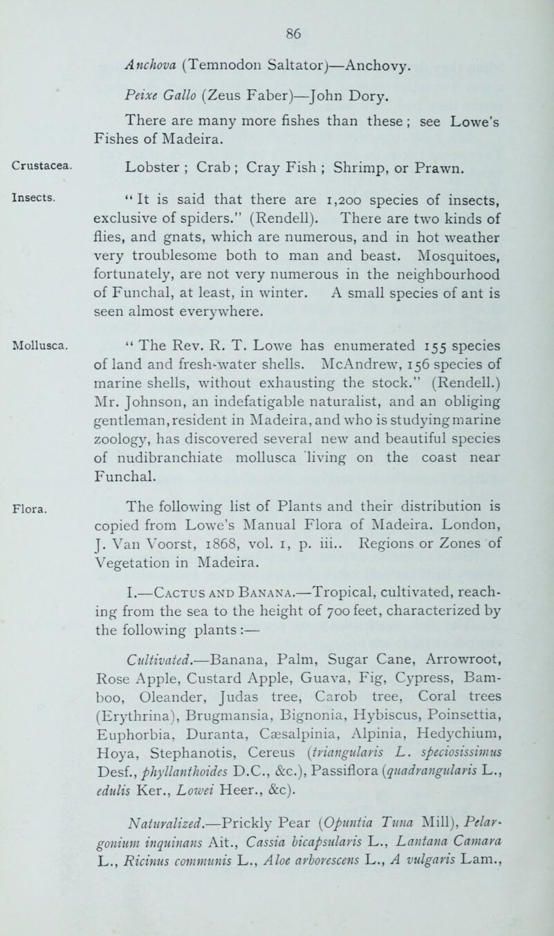 Crustacea. Insects. Mollusca. Flora. Anchova (Temnodon Saltator)—Anchovy. Peixe Gallo (Zeus Faber)—John Dory. There are many more fishes than these ; see Lowe's Fishes of Madeira. Lobster ; Crab ; Cray Fish ; Shrimp, or Prawn. “It is said that there are 1,200 species of insects, exclusive of spiders.” (Rendell). There are two kinds of flies, and gnats, which are numerous, and in hot weather very troublesome both to man and beast. Mosquitoes, fortunately, are not very numerous in the neighbourhood of Funchal, at least, in winter. A small species of ant is seen almost everywhere. “ The Rev. R. T. Lowe has enumerated 155 species of land and fresh-water shells. jMcAndrew, 156 species of marine shells, without exhausting the stock.” (Rendell.) !Mr. Johnson, an indefatigable naturalist, and an obliging gentleman, resident in IMadeira, and who is studying marine zoology, has discovered several new and beautiful species of nudibranchiate mollusca 'living on the coast near Funchal. The following list of Plants and their distribution is copied from Lowe’s Manual Flora of Madeira. London, J. Van Voorst, 1868, vol. i, p. iii.. Regions or Zones of Vegetation in Madeira. I.—Cactus and Banana.—Tropical, cultivated, reach- ing from the sea to the height of 700 feet, characterized by the following plants :— Cultivated.—Banana, Palm, Sugar Cane, Arrowroot, Rose Apple, Custard Apple, Guava, Fig, C}^press, Bam- boo, Oleander, Judas tree, Carob tree, Coral trees (Erythrina), Brugmansia, Bignonia, H}Tiscus, Poinsettia, Euphorbia, Duranta, Caesalpinia, Alpinia, Hedychium, Hoya, Stephanotis, Cereus {triangtdaris L. speciosissinius Desk, phyllanthoides D.C., &c.), P2. (qnadrangularis L., eduUs Ker., Lowei Heer., &c). Naturalized.—Prickty Pear [Opiintia Tuna Mill), Pelar- gonium inquinans Ait., Cassia bicapsularis L., Lantana Camara L., Ricinus communis L., Aloe arhorescens L., A vulgans Lam.,